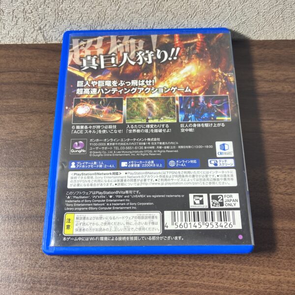 Ragnarok Odyssey Ace PS Vita - 画像 (3)