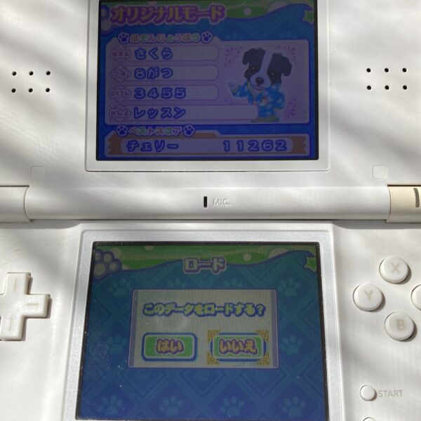 nintendogs 柴＆フレンズ ワンタメミュージックチャンネル - 画像 (13)