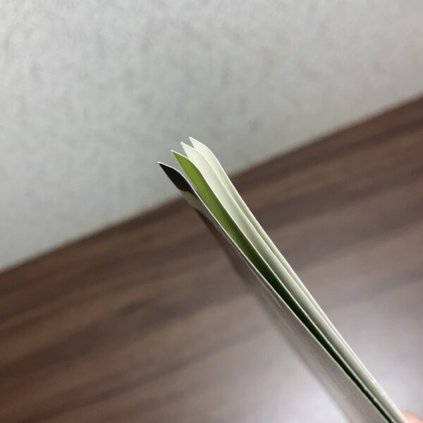 森山直太朗 時の行方～序・春の空～ - 画像 (8)