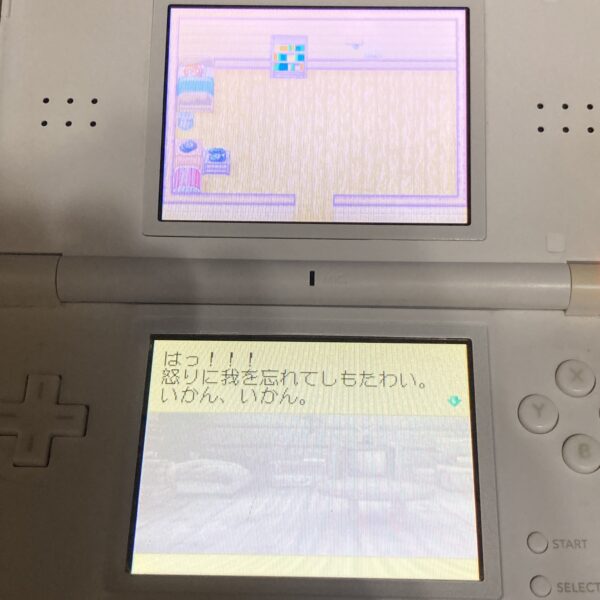 DS【牧場物語 コロボックルステーション】箱説明書付属品つき - 画像 (12)