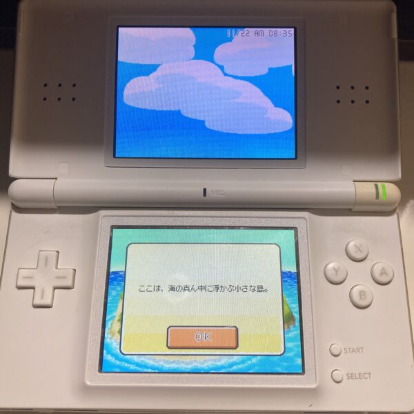 ニンテンドーDS【トモダチコレクション】箱説明書付属品あり - 画像 (10)