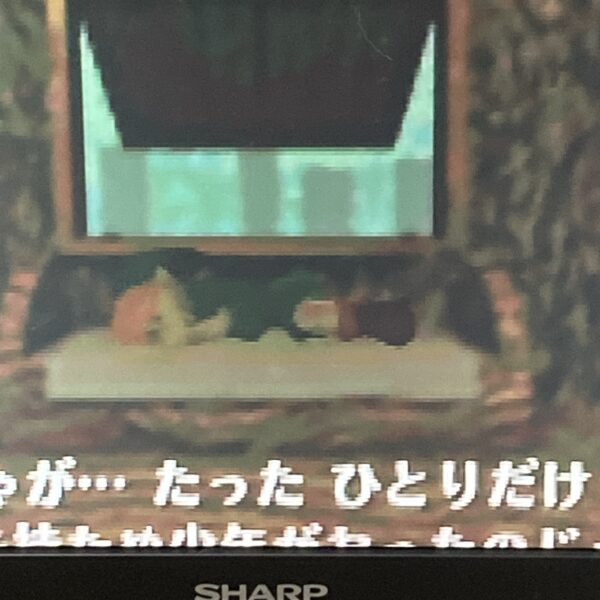 64【ゼルダの伝説 時のオカリナ ムジュラの仮面】ソフトのみ - 画像 (10)