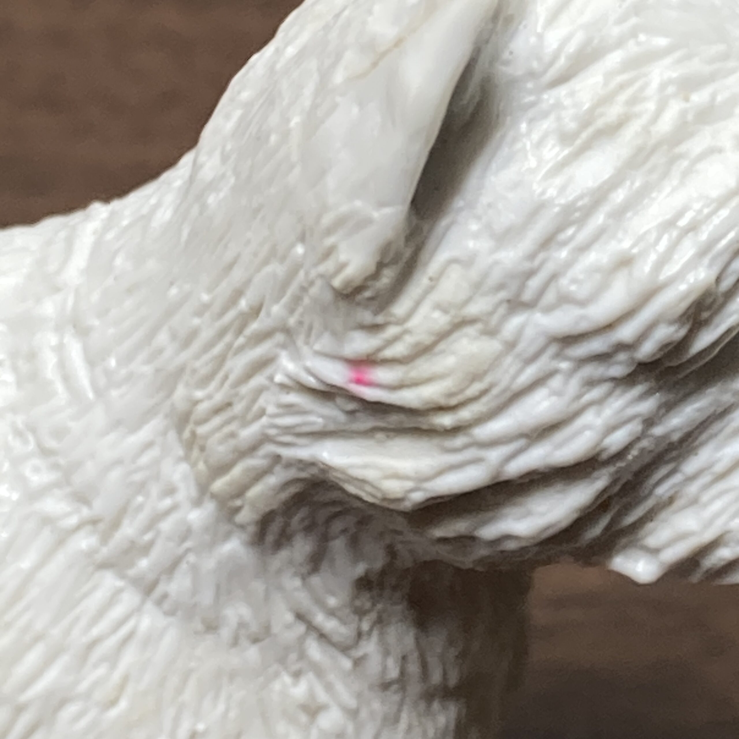 【動物置物】 ホワイトテリア フィギュア インテリア用品約7cm - 画像 (3)