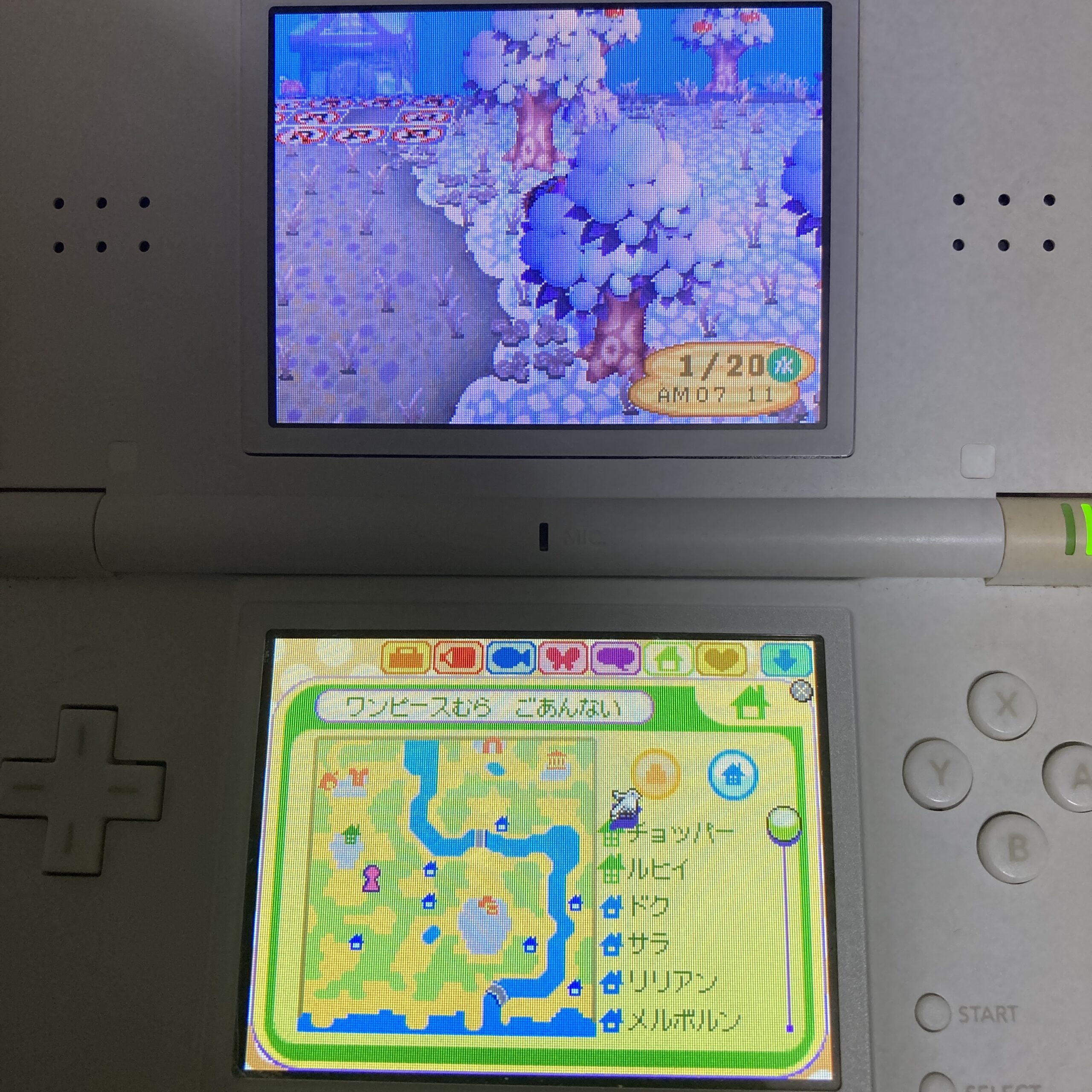 【ニンテンドーDS】おいでよどうぶつの森 - 画像 (10)