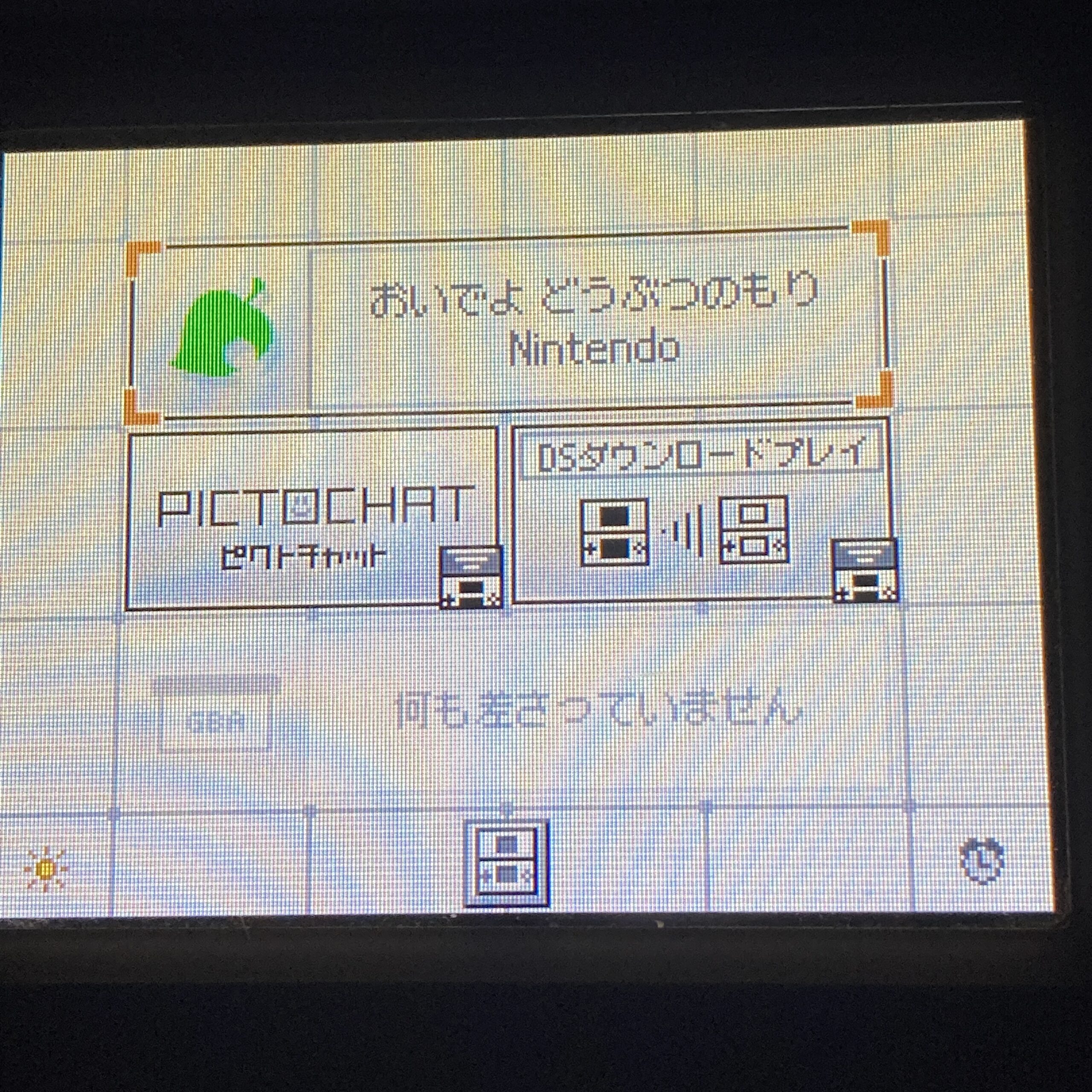 【ニンテンドーDS】おいでよどうぶつの森 - 画像 (10)