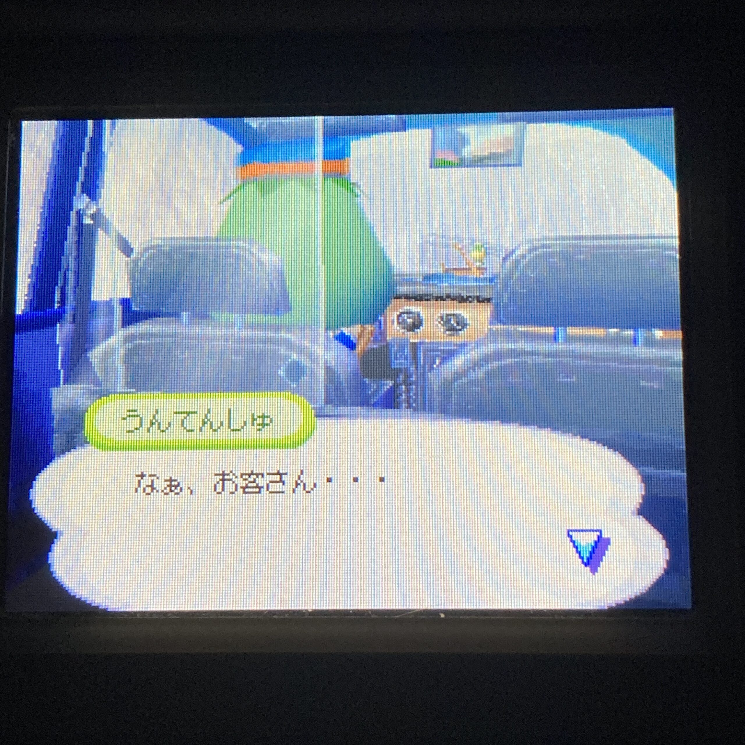 【ニンテンドーDS】おいでよどうぶつの森 - 画像 (11)