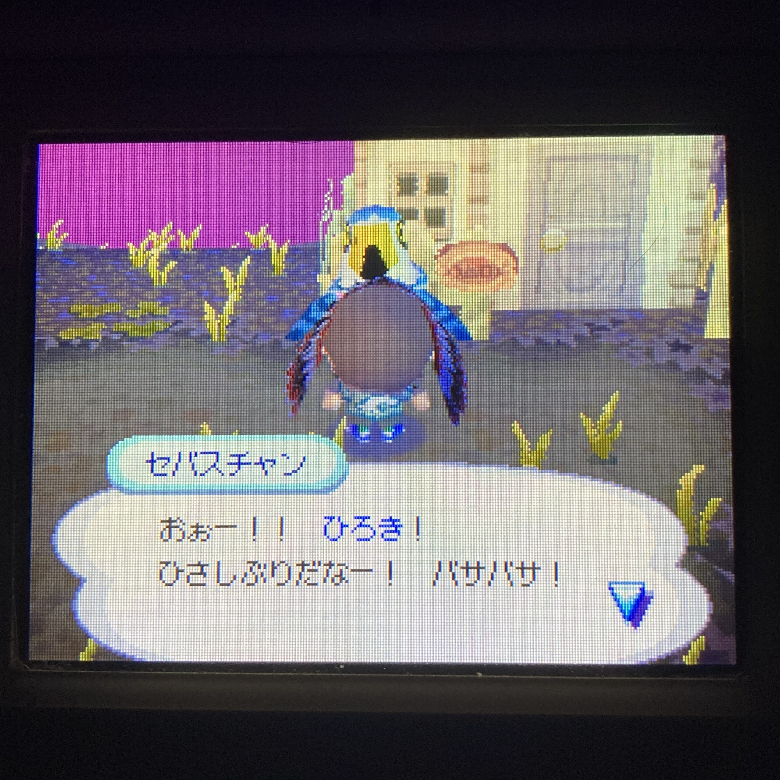 【ニンテンドーDS】おいでよどうぶつの森 - 画像 (9)