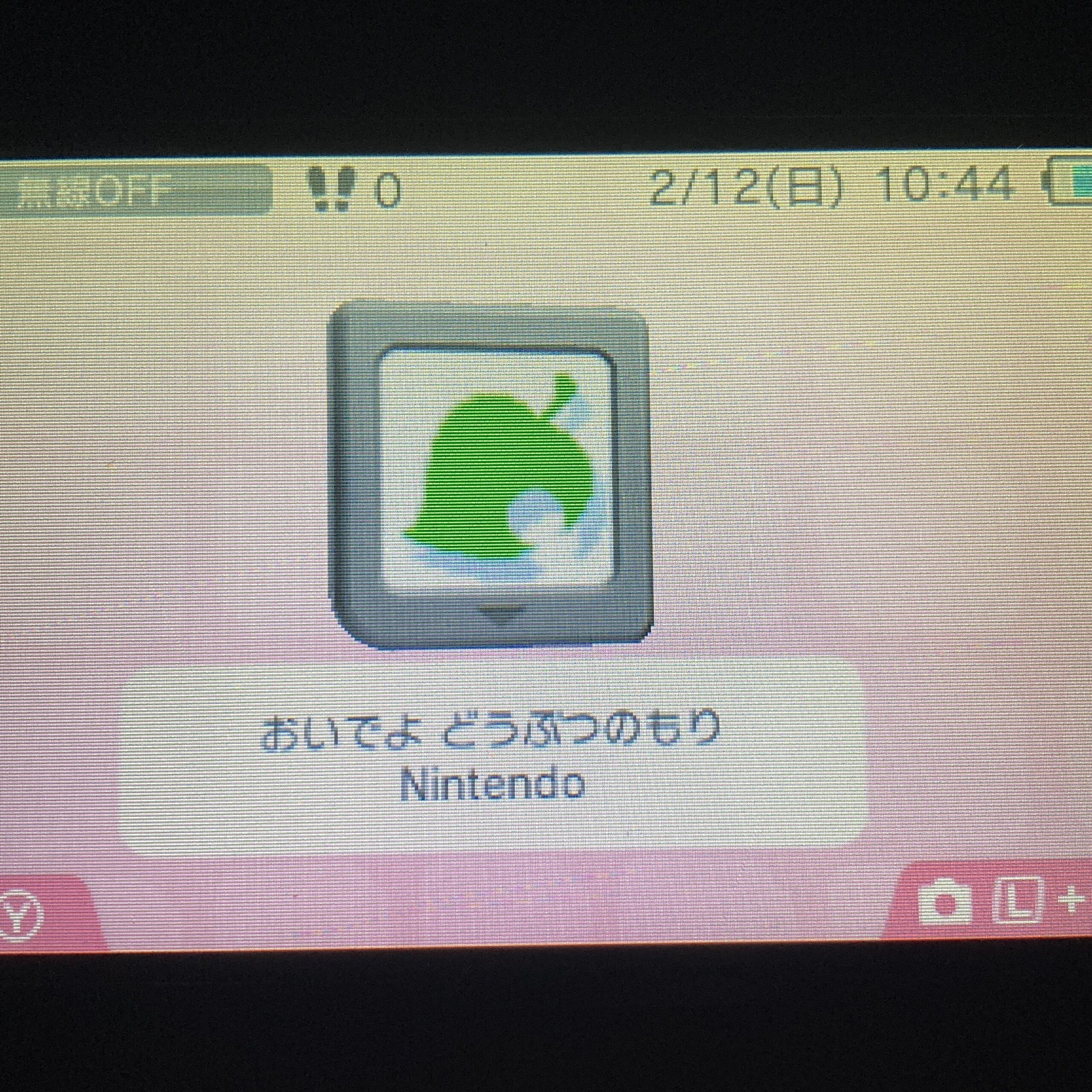 【ニンテンドーDS】おいでよどうぶつの森 - 画像 (9)