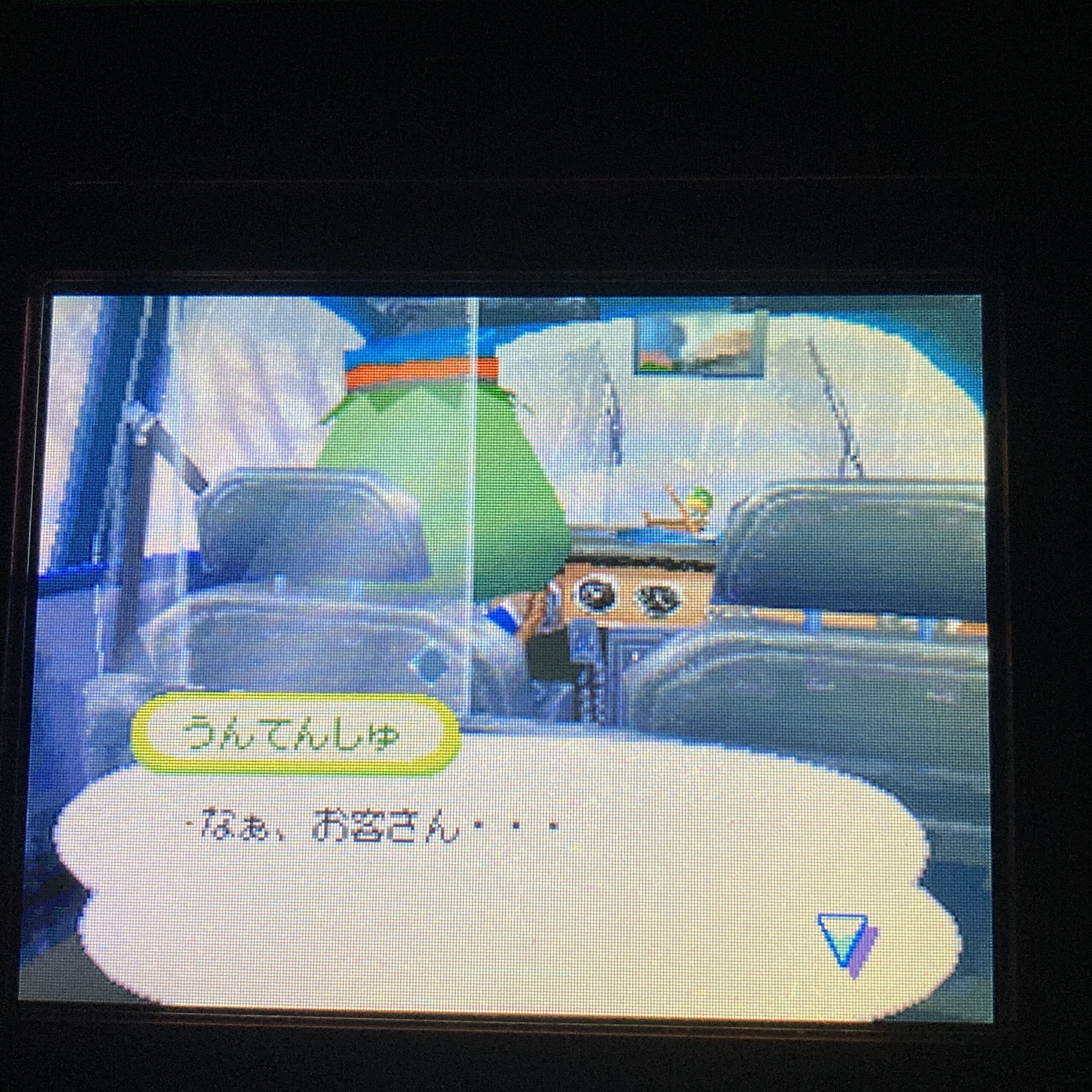 【ニンテンドーDS】おいでよどうぶつの森 - 画像 (10)