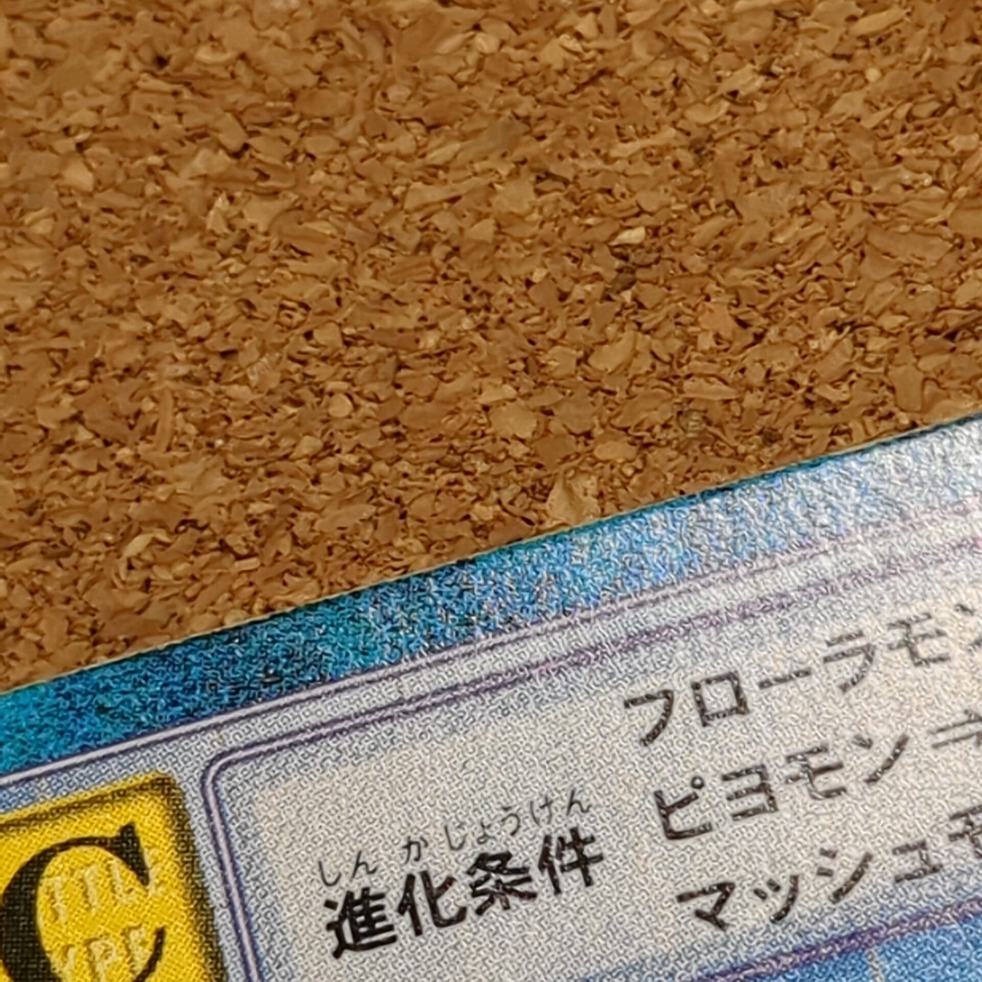旧デジタルモンスターカード【Bo-86 ウッドモン 2000】【oka】 - 画像 (7)