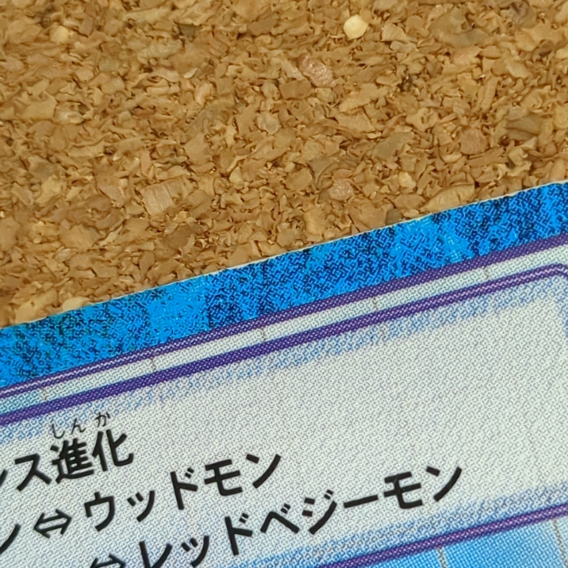 旧デジタルモンスターカード【Bo-93 ガーベモン 2000】 - 画像 (7)