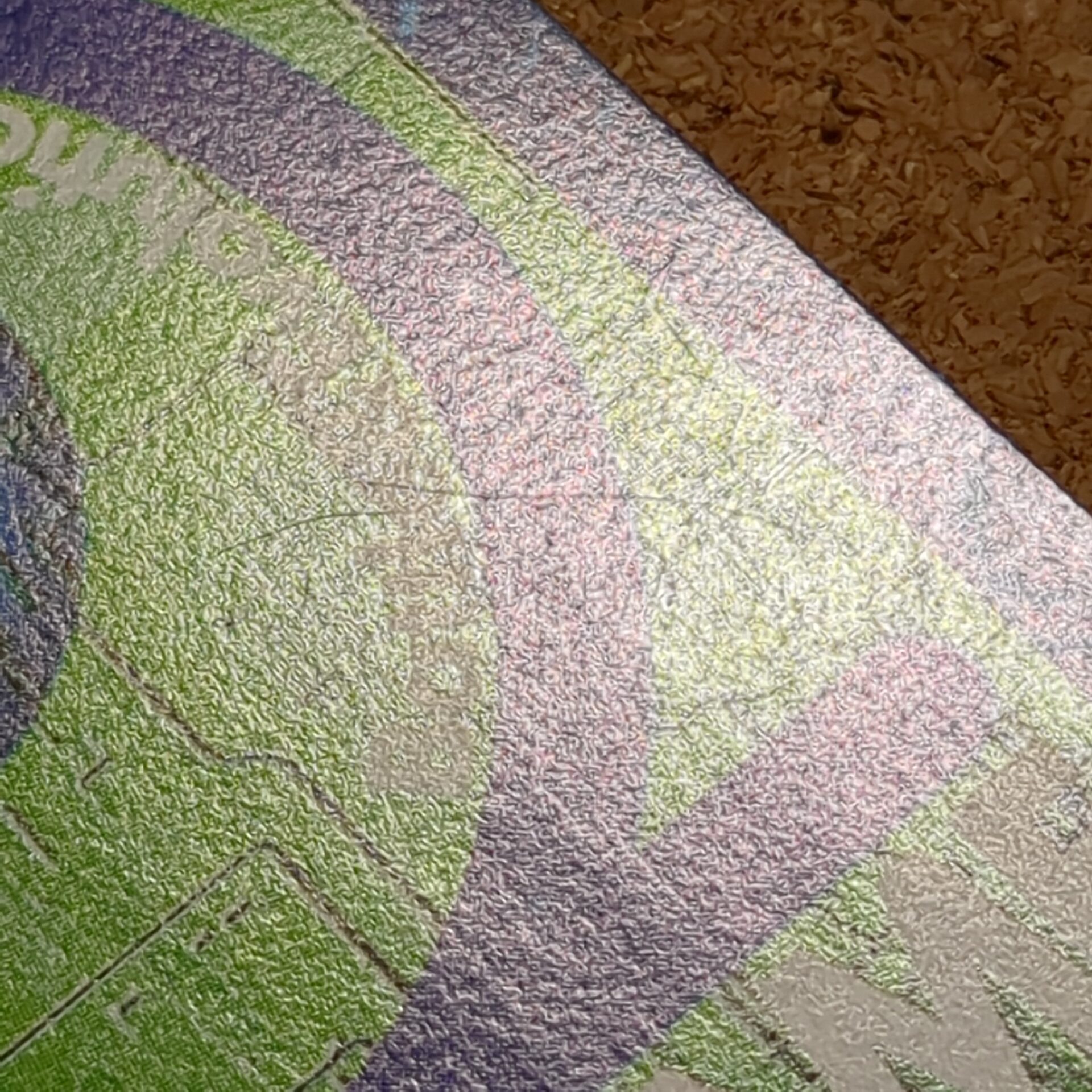 旧デジタルモンスターカード【Bo-108 実はキミ……飛べないの? 1999】 - 画像 (19)