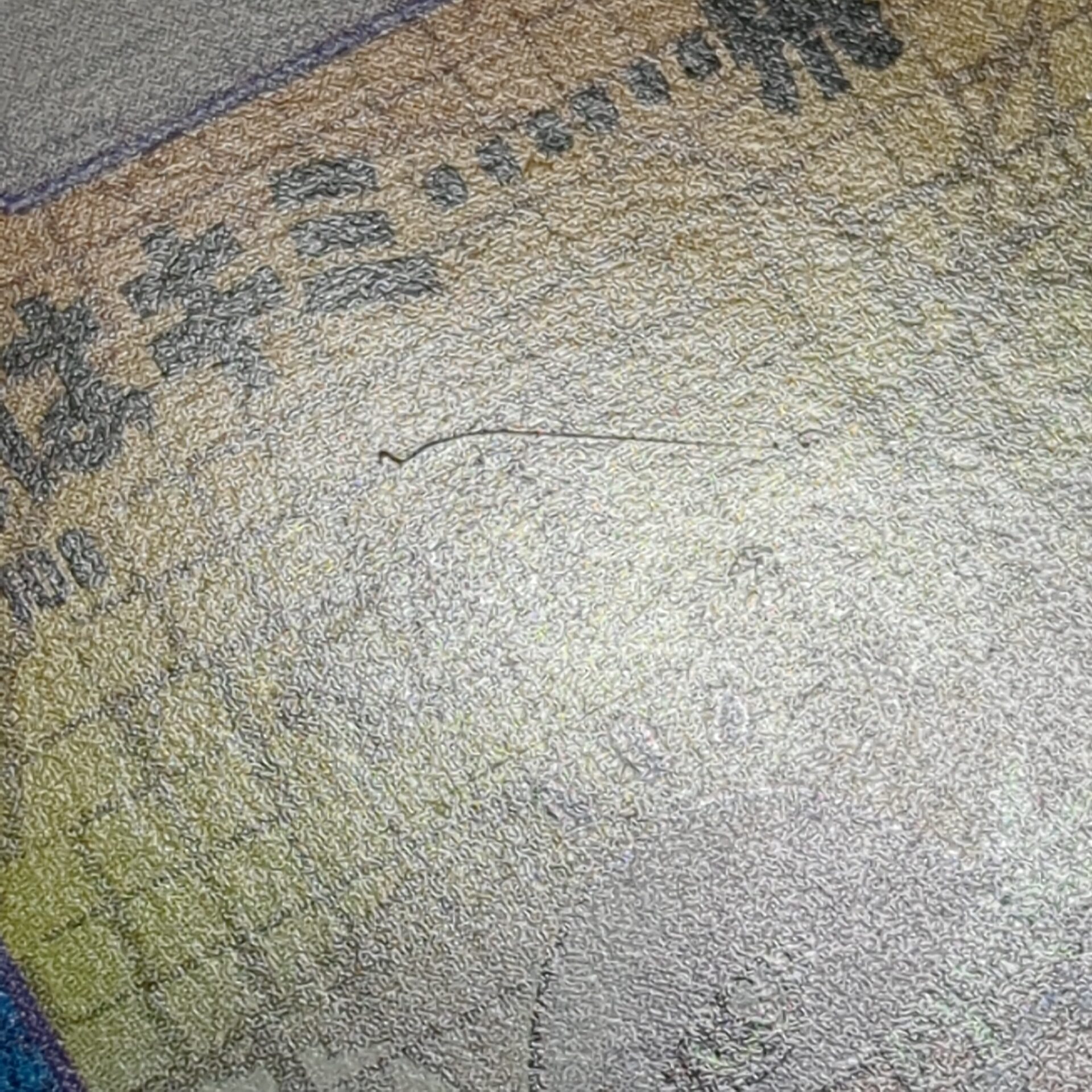 旧デジタルモンスターカード【Bo-108 実はキミ……飛べないの? 1999】 - 画像 (8)
