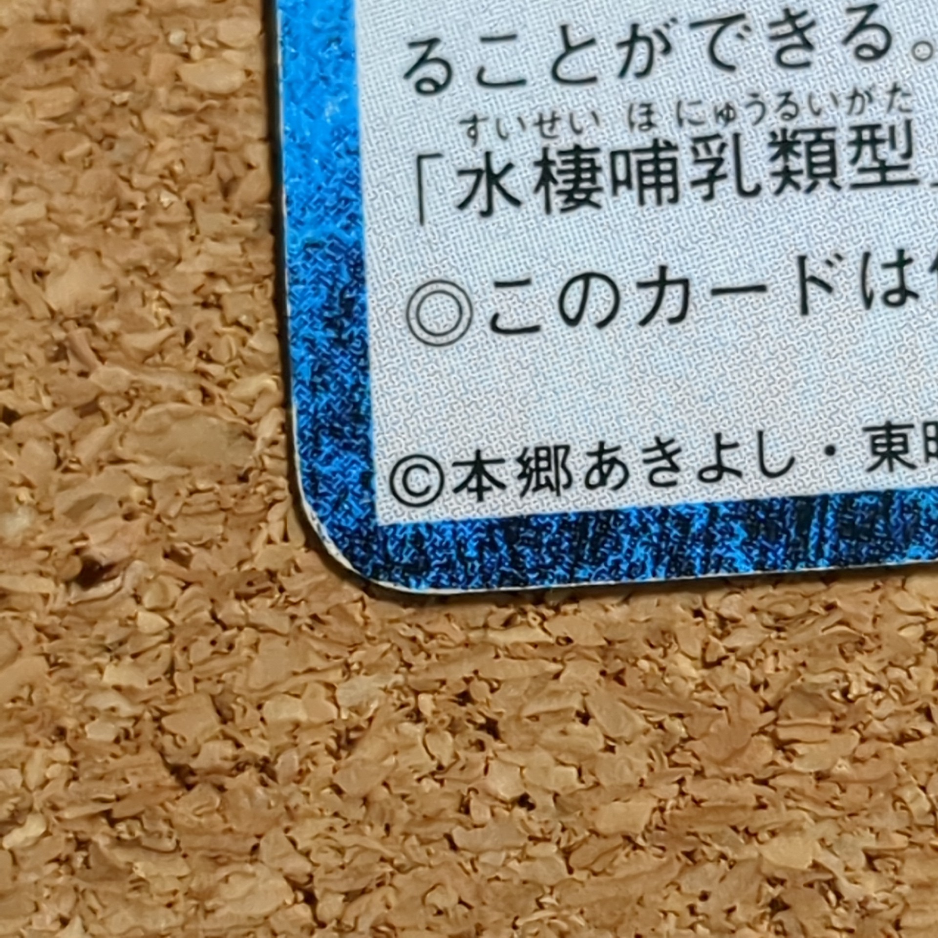 旧デジタルモンスターカード【Bo-100 誠実の紋章 2000】 - 画像 (6)