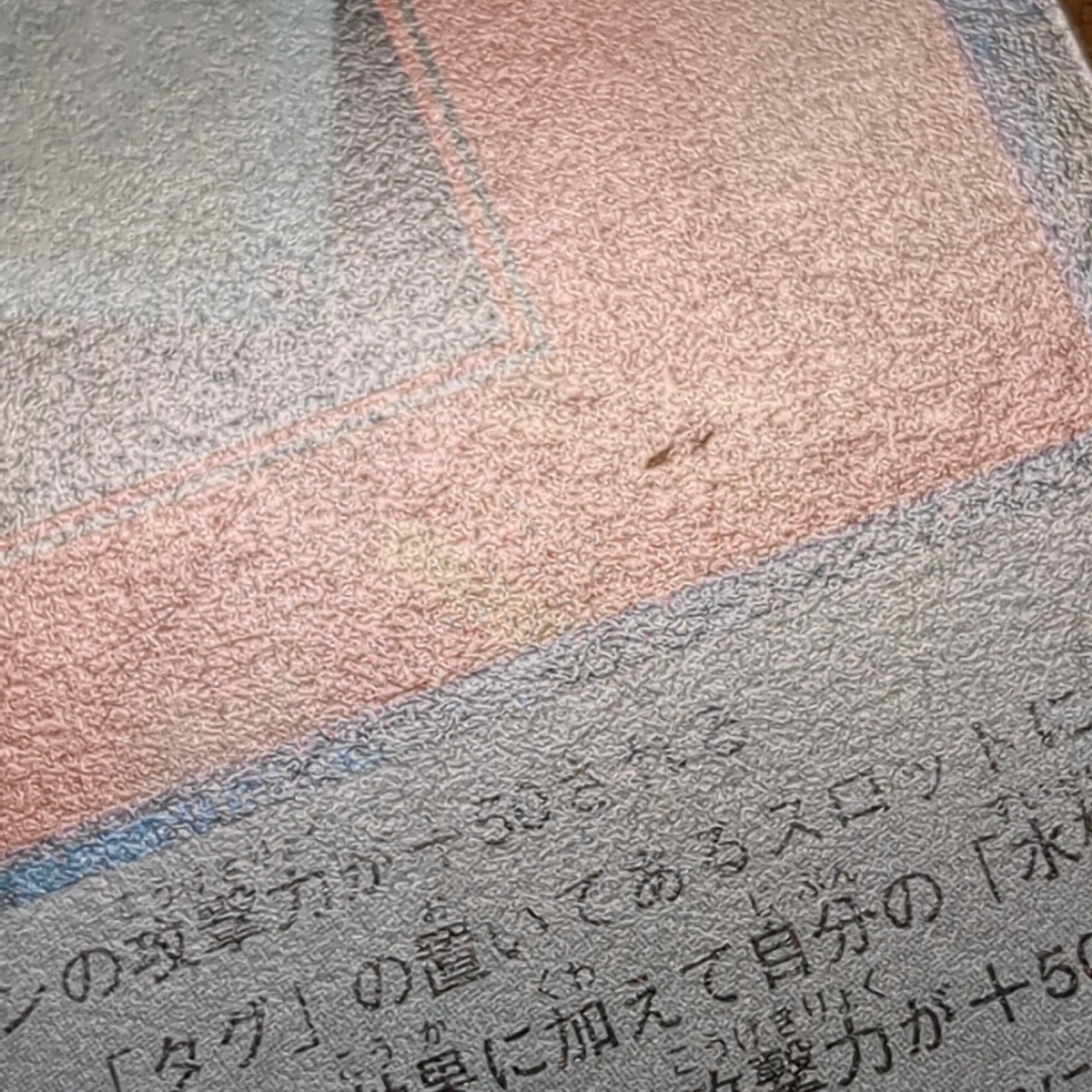 旧デジタルモンスターカード【Bo-100 誠実の紋章 2000】 - 画像 (10)