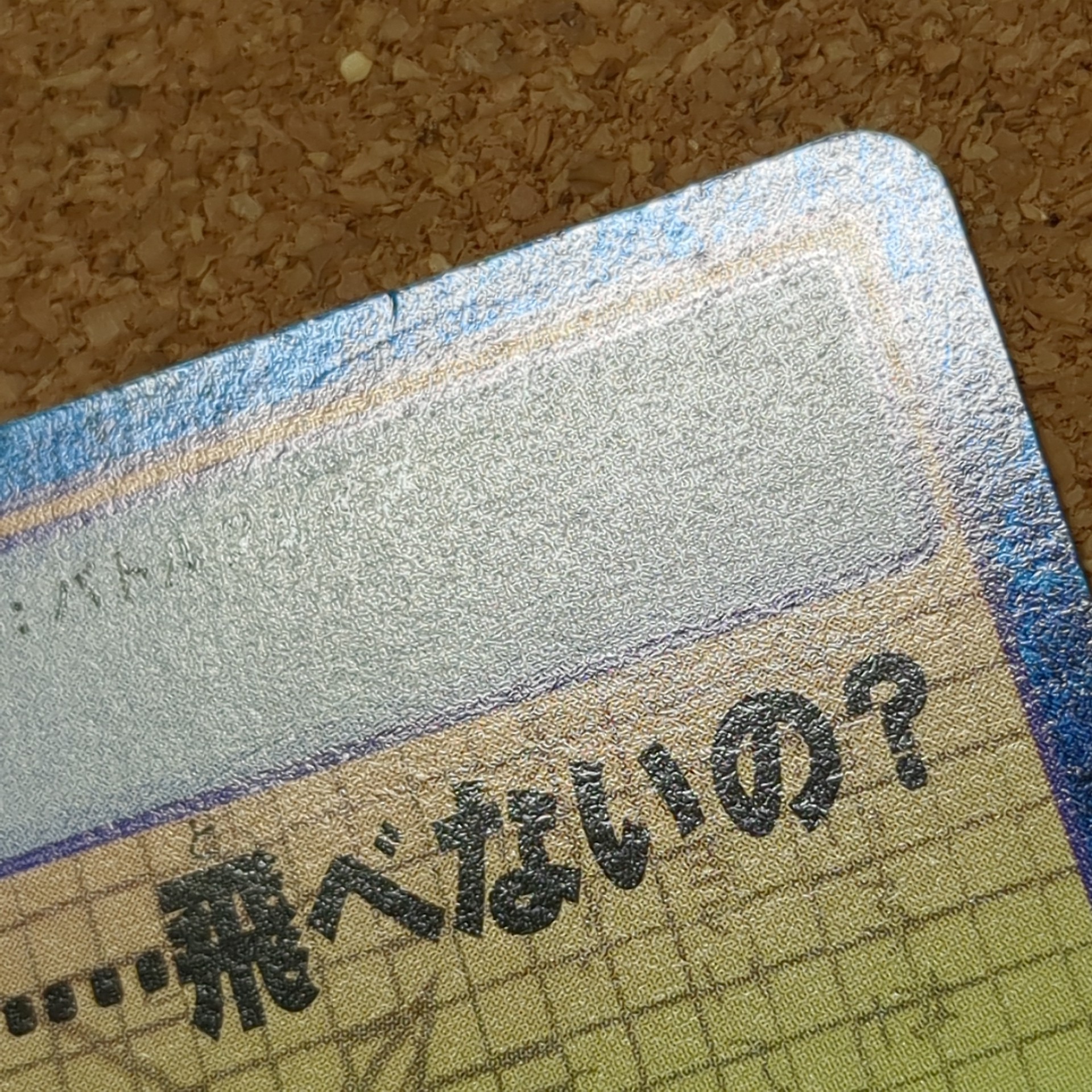旧デジタルモンスターカード【Bo-108 実はキミ……飛べないの? 2001】 - 画像 (8)