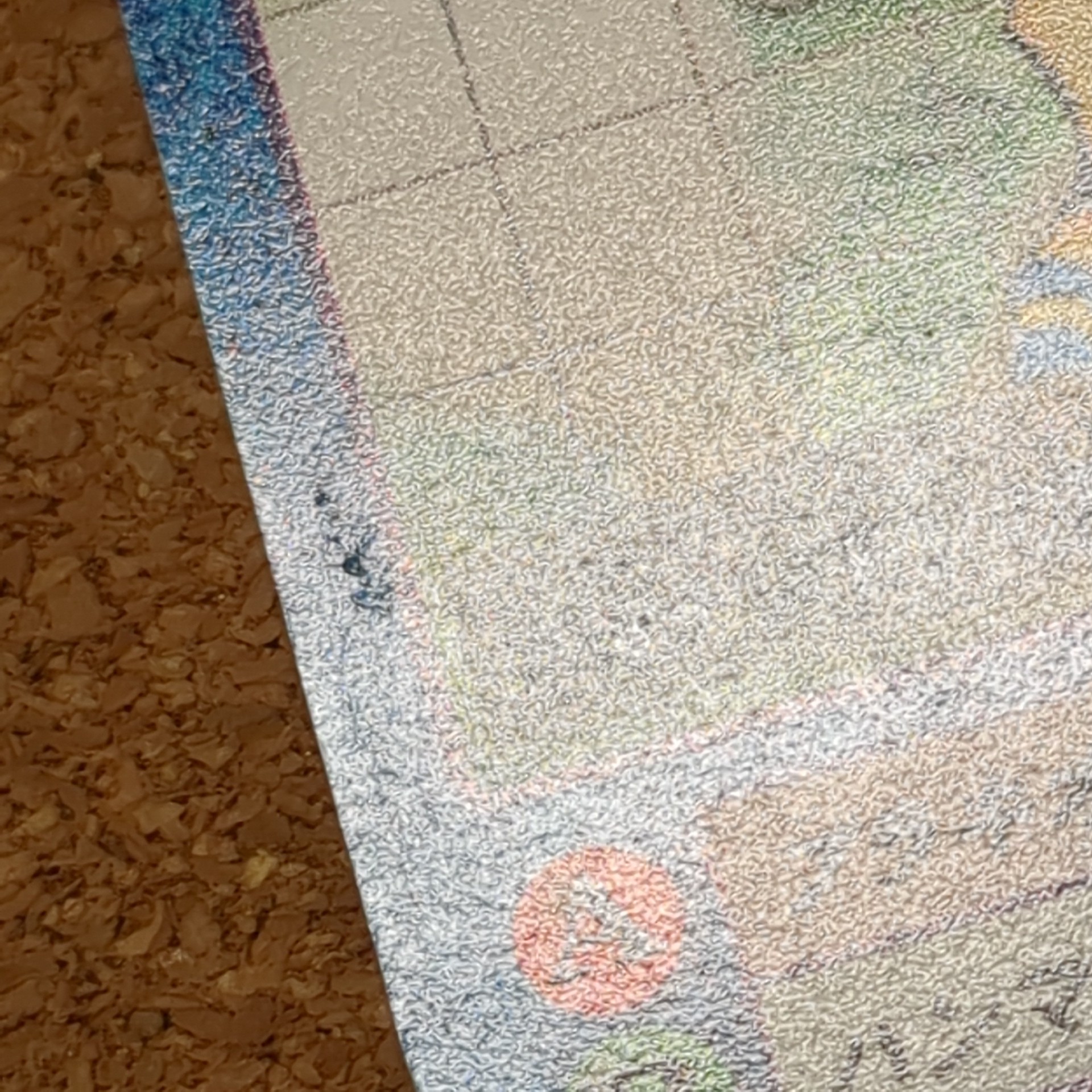旧デジタルモンスターカード【Bo-185 ブラキモン 2000】 - 画像 (9)
