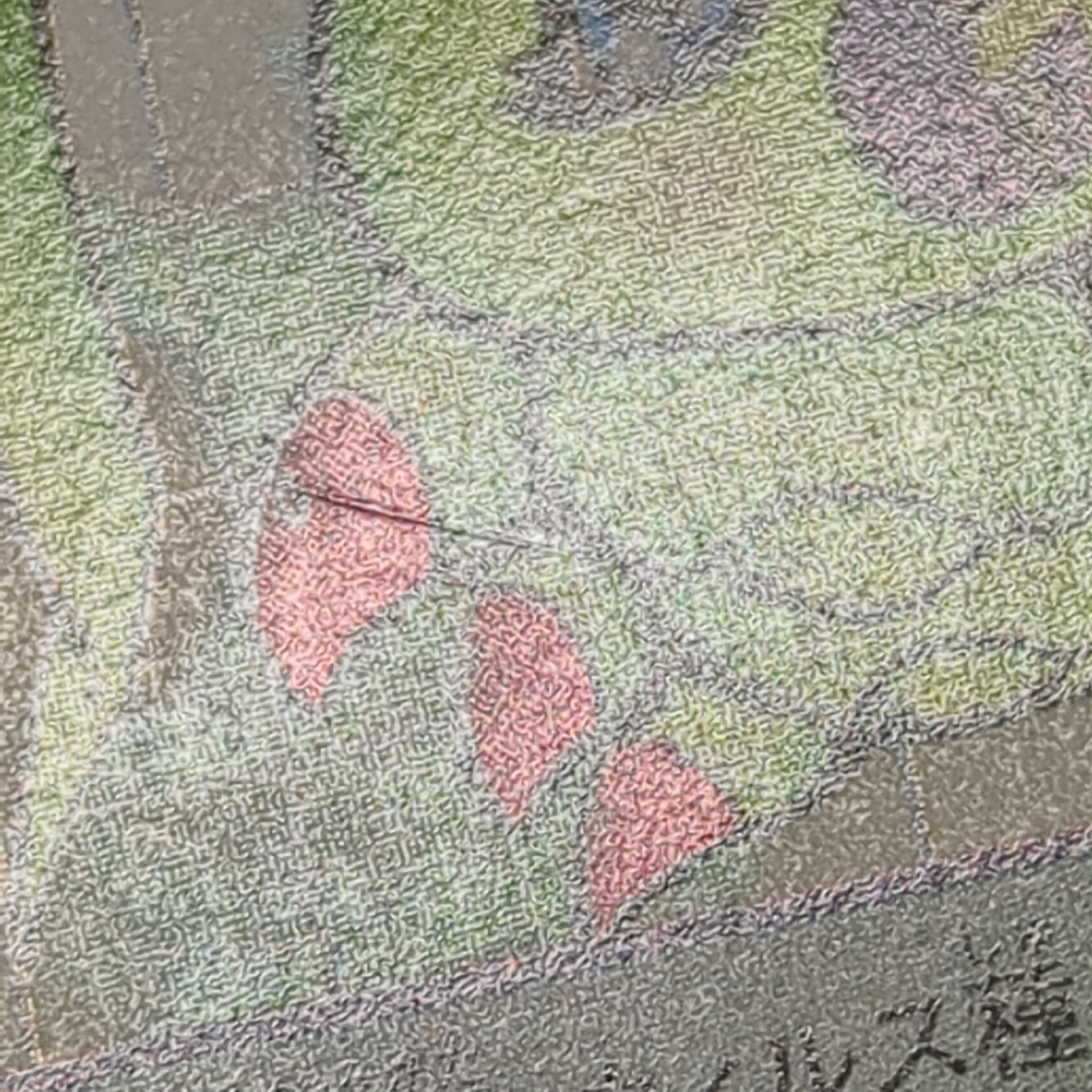 旧デジタルモンスターカード【Bo-359 ワームモン 2000】 - 画像 (8)