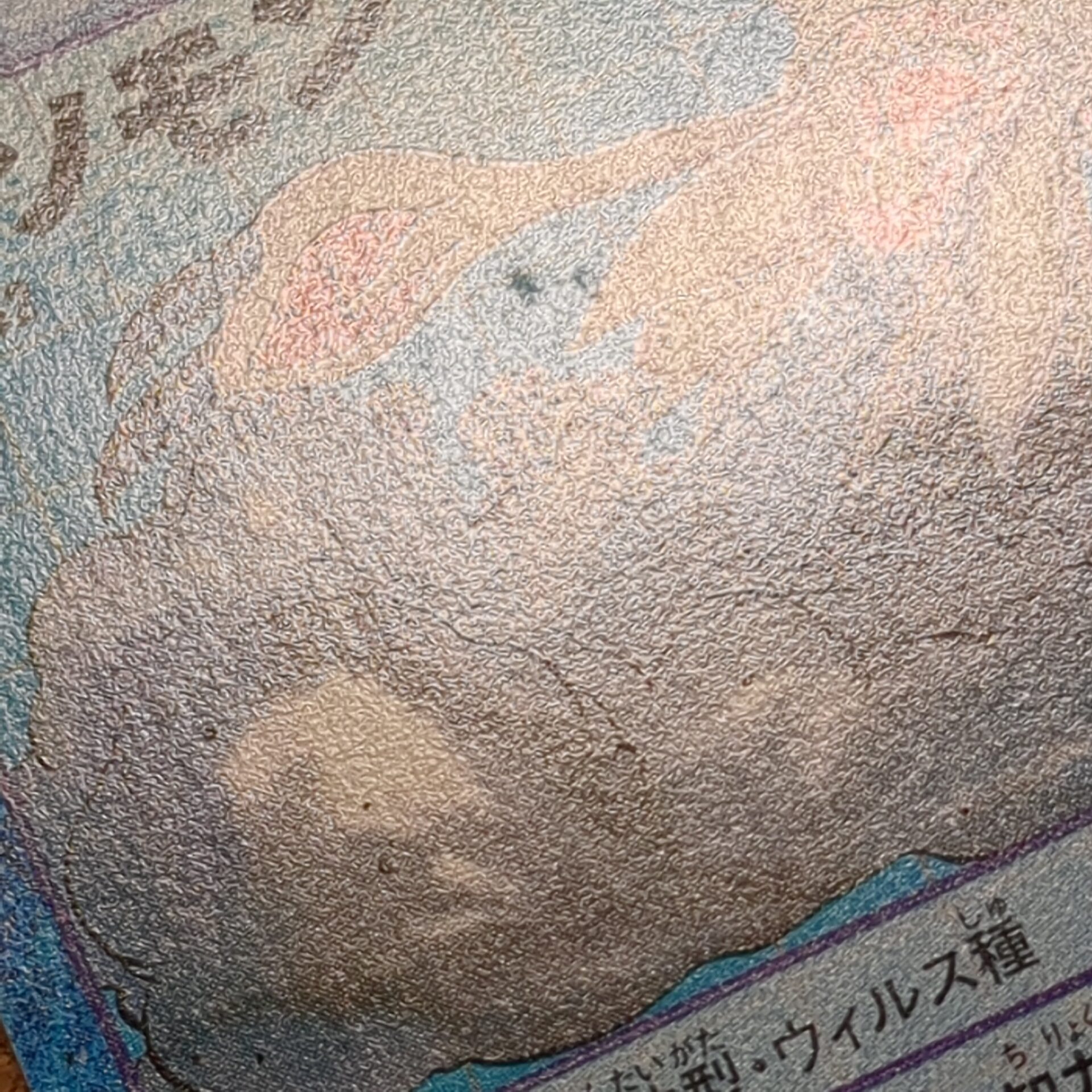 旧デジタルモンスターカード【Bo-232 ゲソモン 2000】 - 画像 (9)