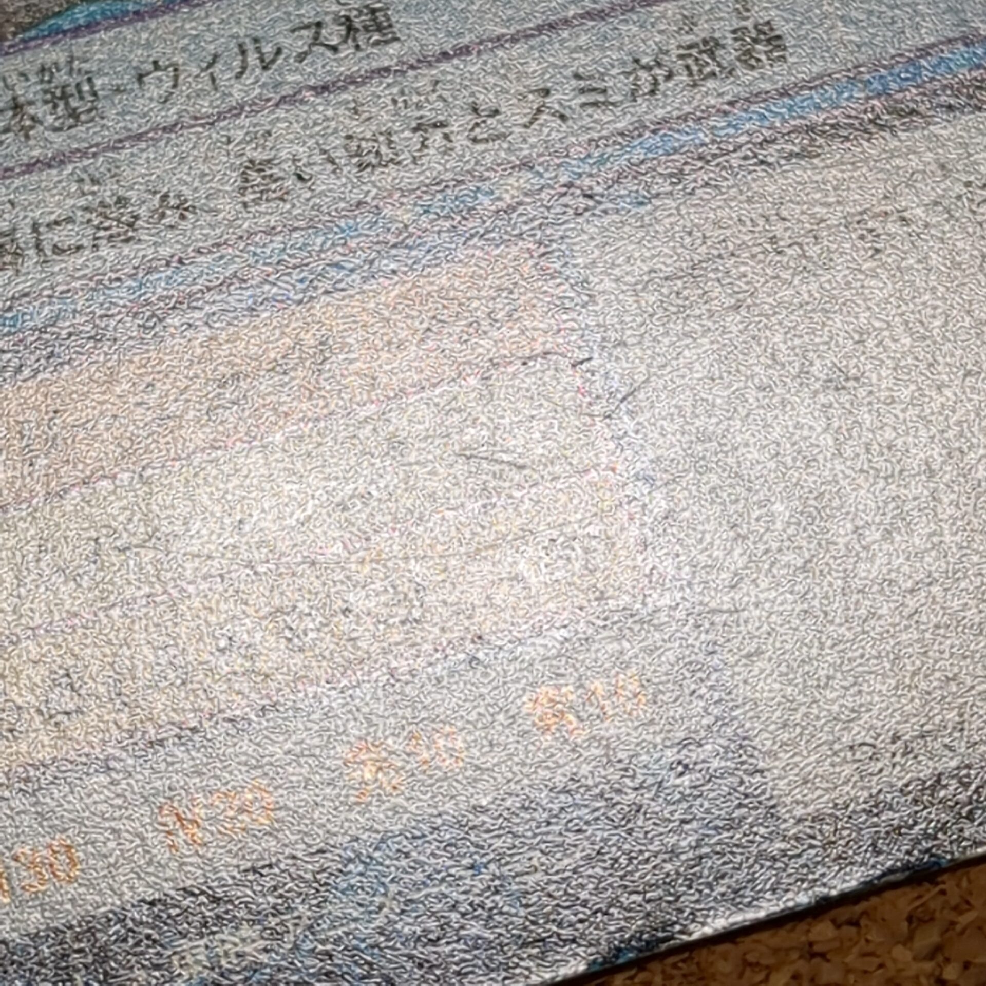 旧デジタルモンスターカード【Bo-232 ゲソモン 2000】 - 画像 (10)