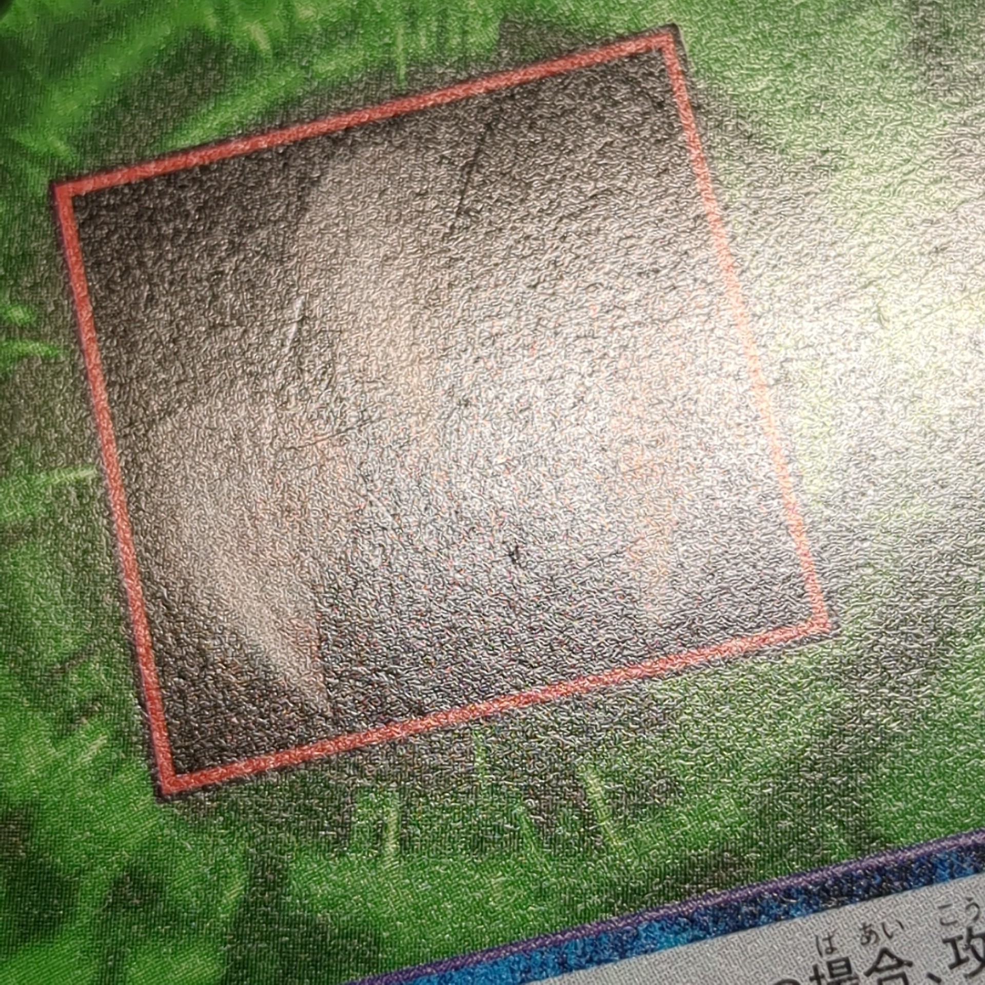 旧デジタルモンスターカード【Bo-251 アイアンクロウ 2000】 - 画像 (11)