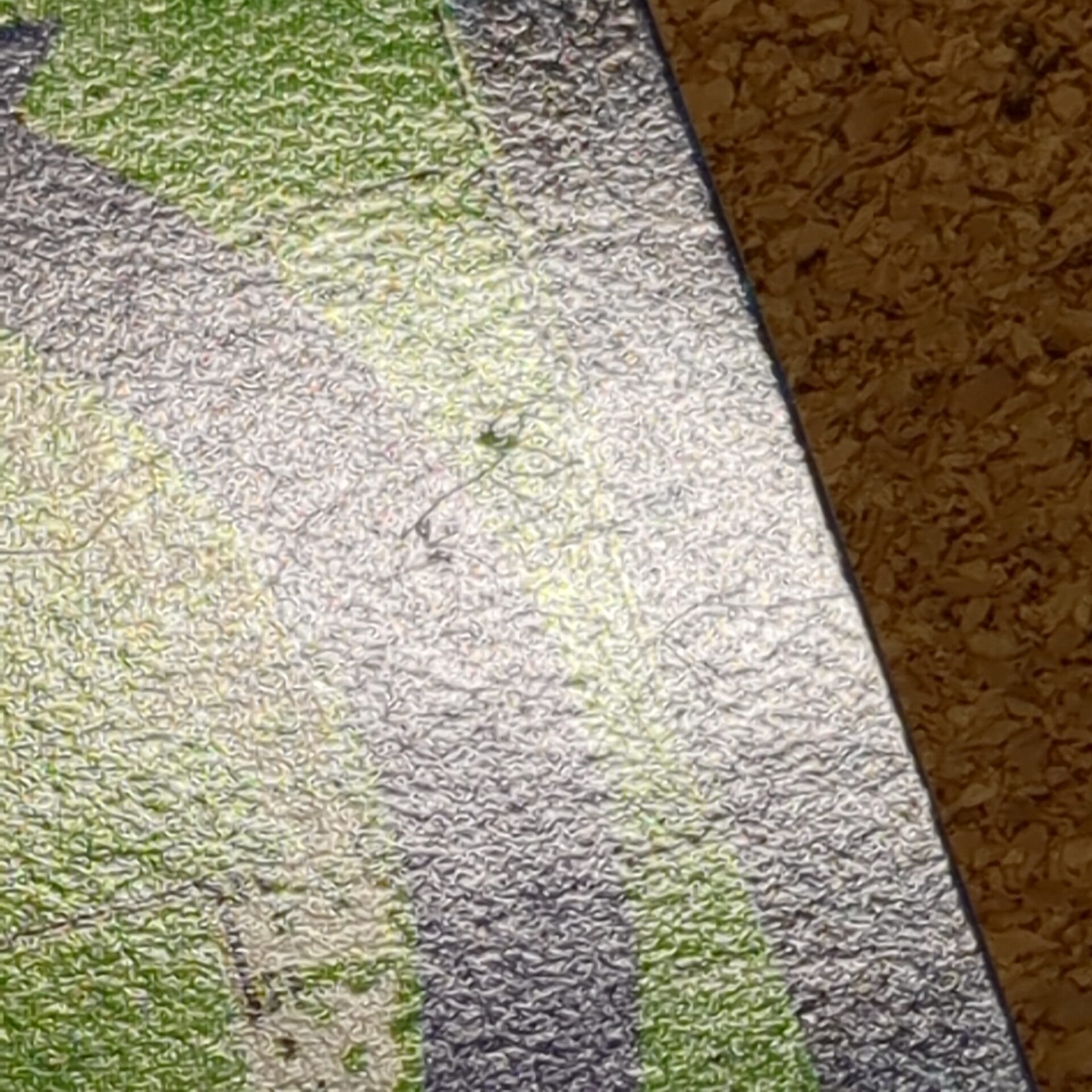 旧デジタルモンスターカード【Bo-261 メタルグレイモン 2000】 - 画像 (18)