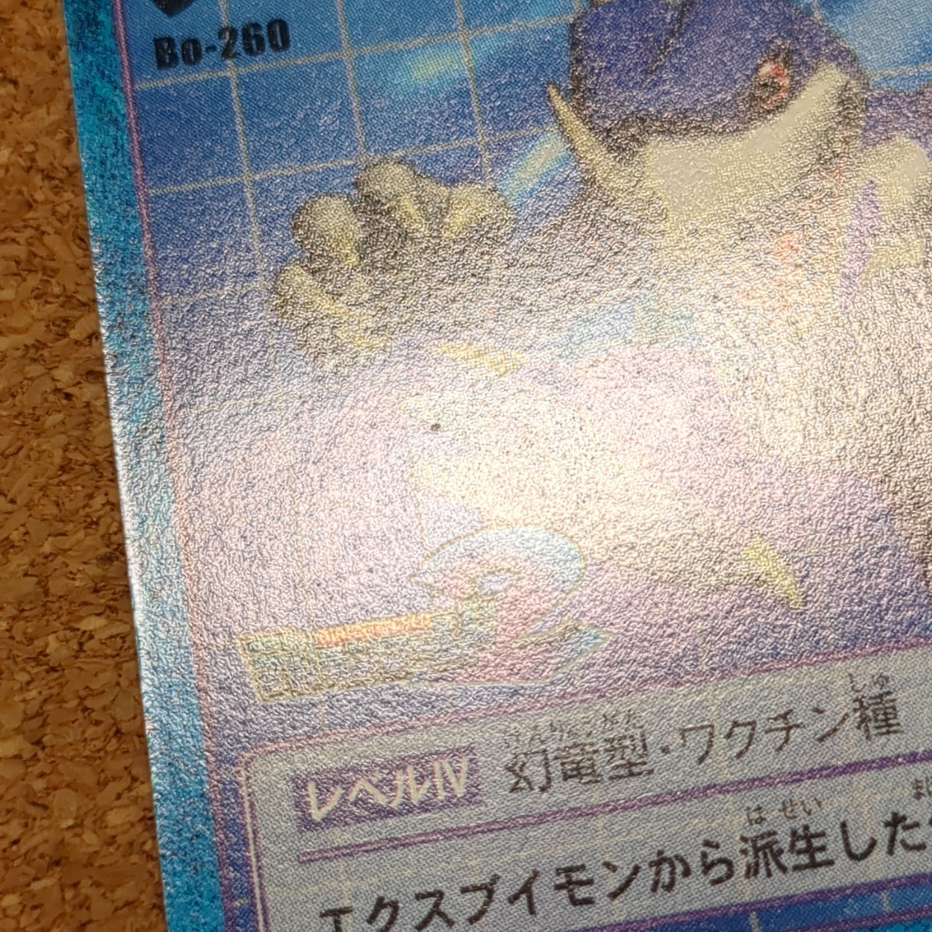 旧デジタルモンスターカード【Bo-260 ブイドラモン 2000】 - 画像 (7)