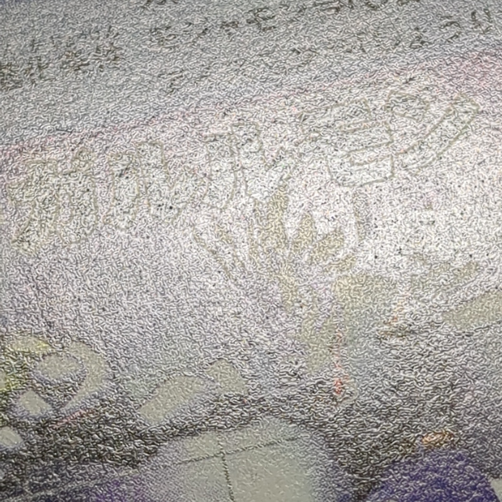 旧デジタルモンスターカード【Bo-263 ワーガルルモン 2000】 - 画像 (7)