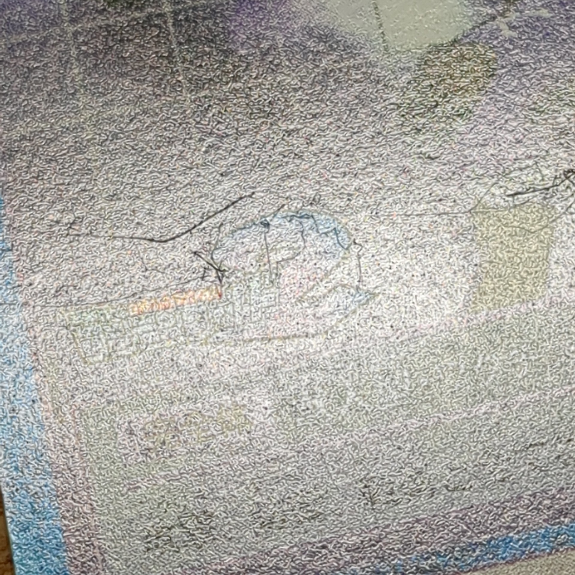旧デジタルモンスターカード【Bo-263 ワーガルルモン 2000】 - 画像 (9)