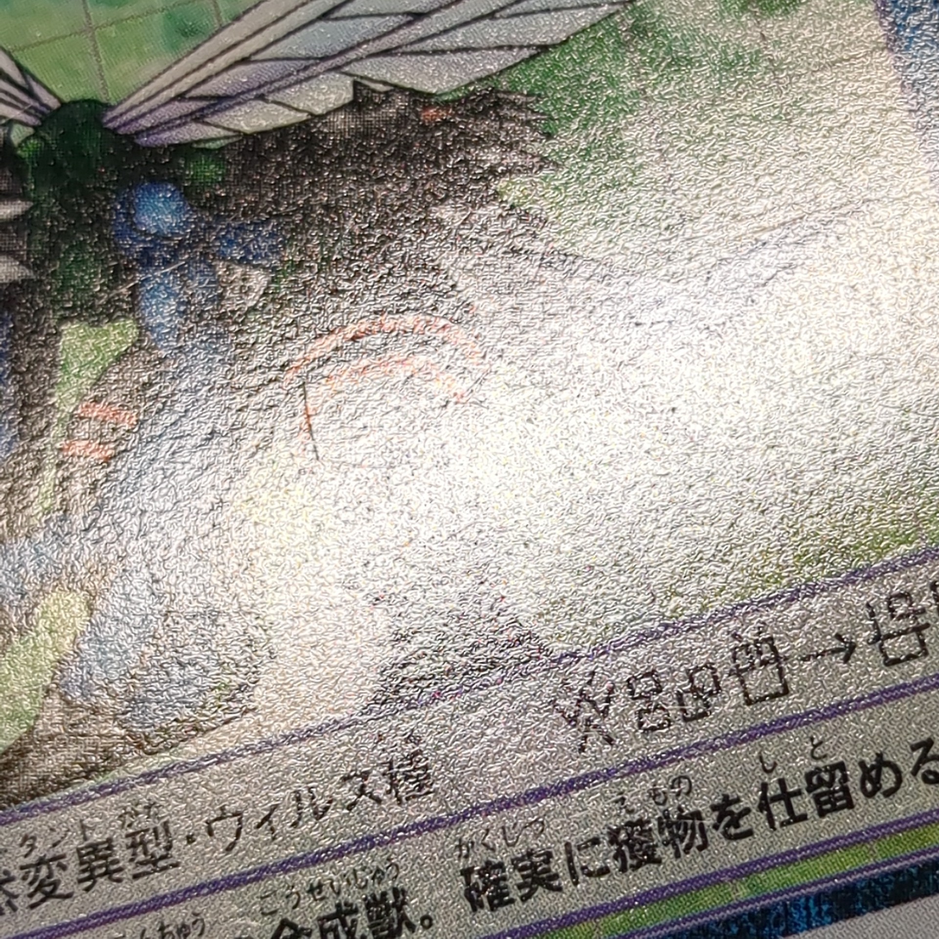旧デジタルモンスターカード【Bo-283 ディノビーモン 2000】 - 画像 (9)