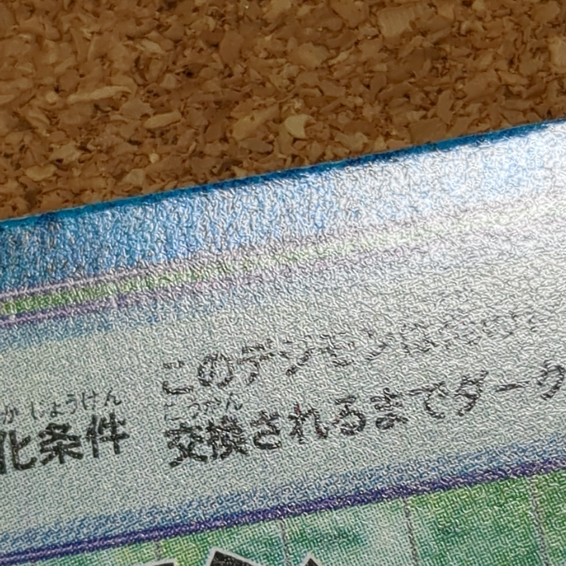 旧デジタルモンスターカード【Bo-274 テリアモン 2000】 - 画像 (7)