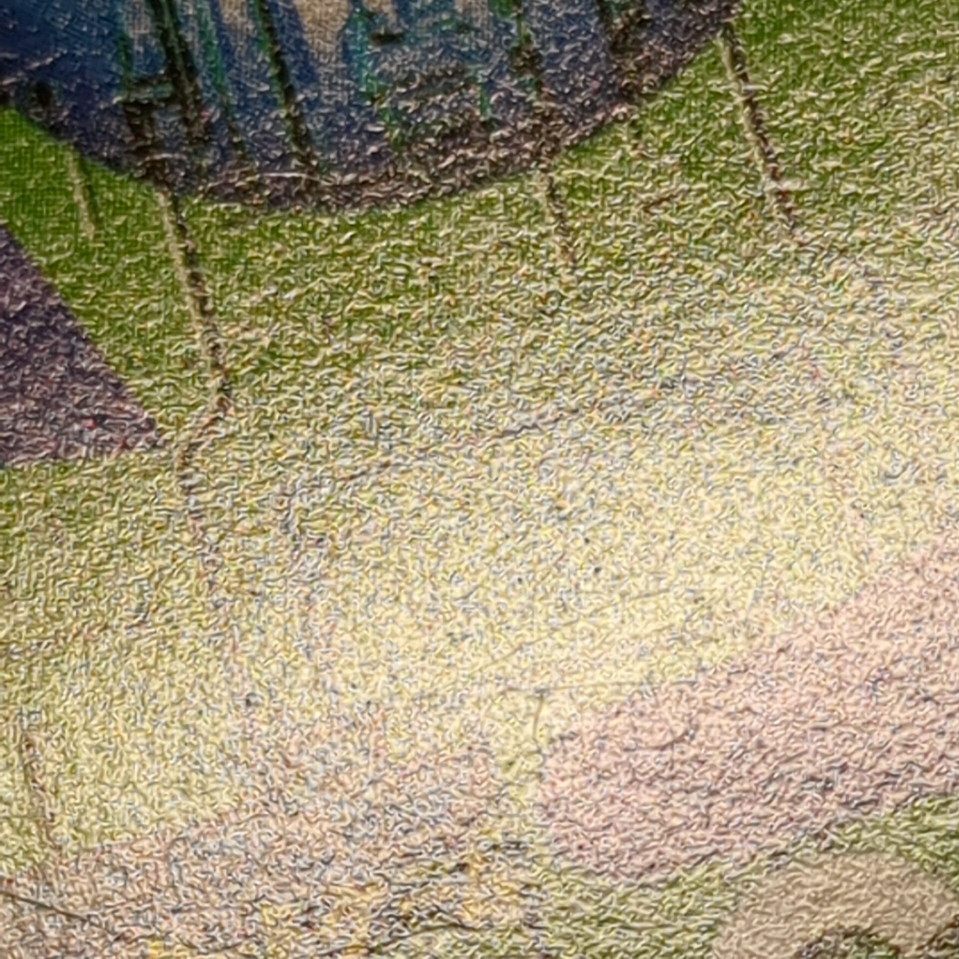 旧デジタルモンスターカード【Bo-267 メタルシードラモン 2000】 - 画像 (19)