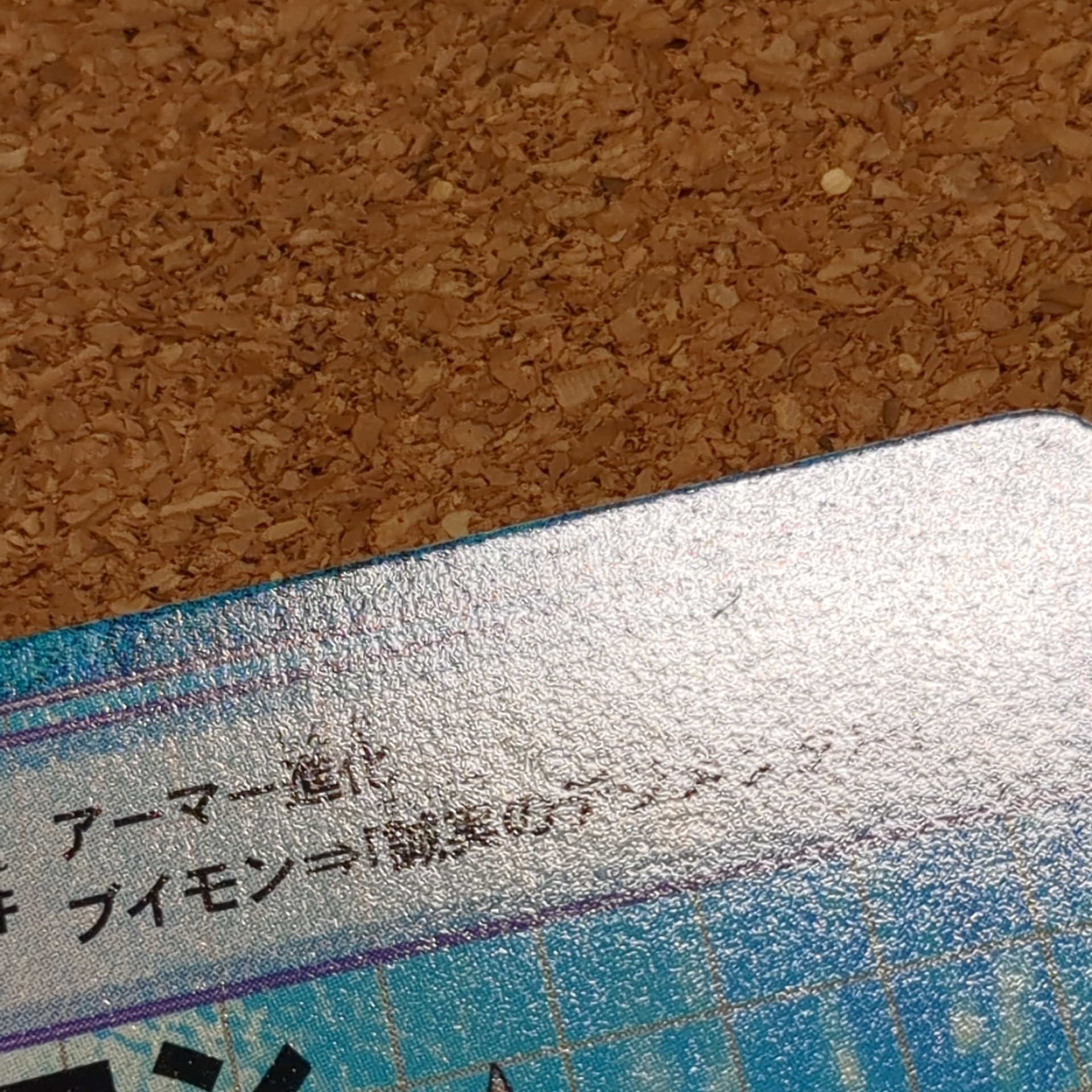 旧デジタルモンスターカード【Bo-294 デプスモン 2000】 - 画像 (7)