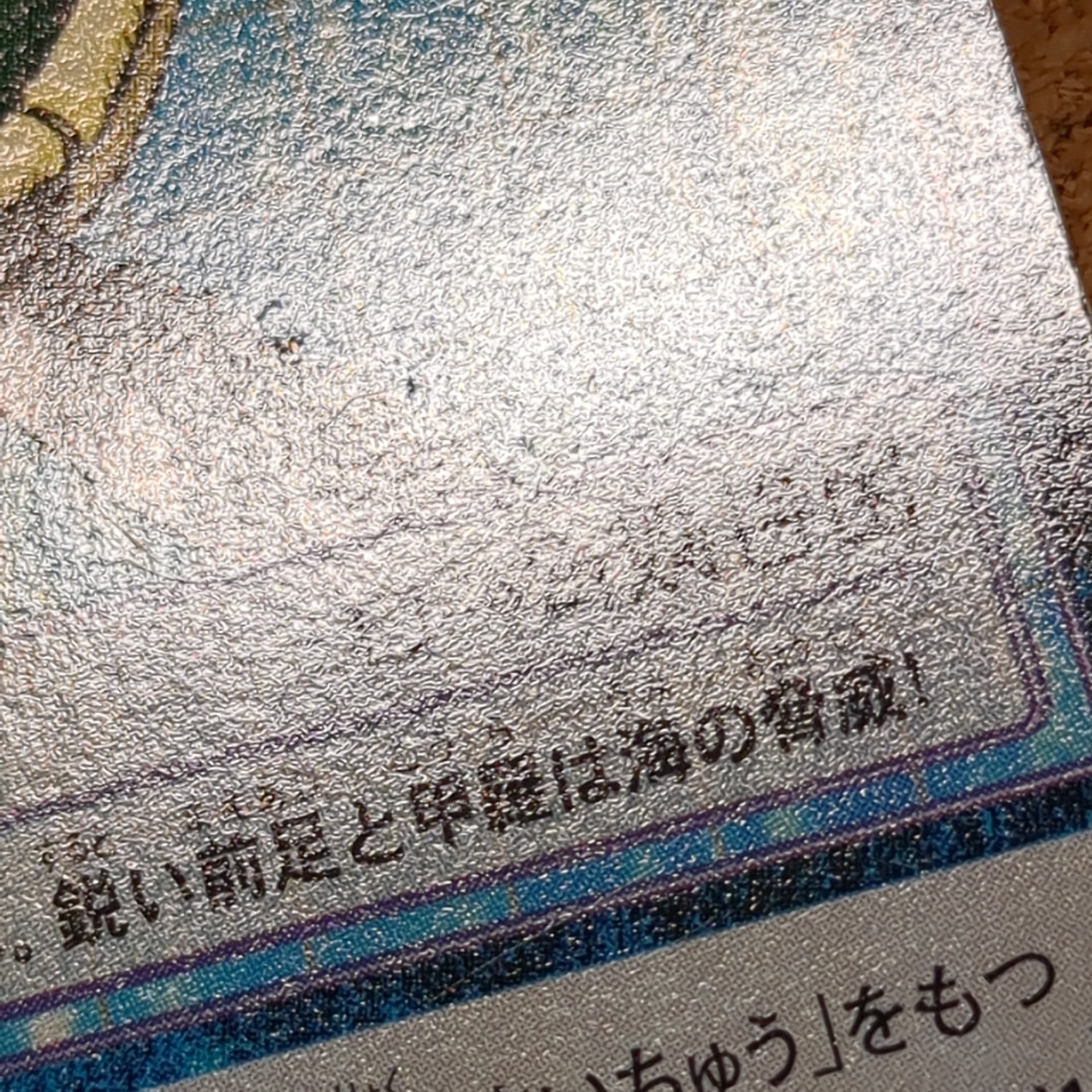 旧デジタルモンスターカード【Bo-291 アーケロモン 2000】 - 画像 (8)