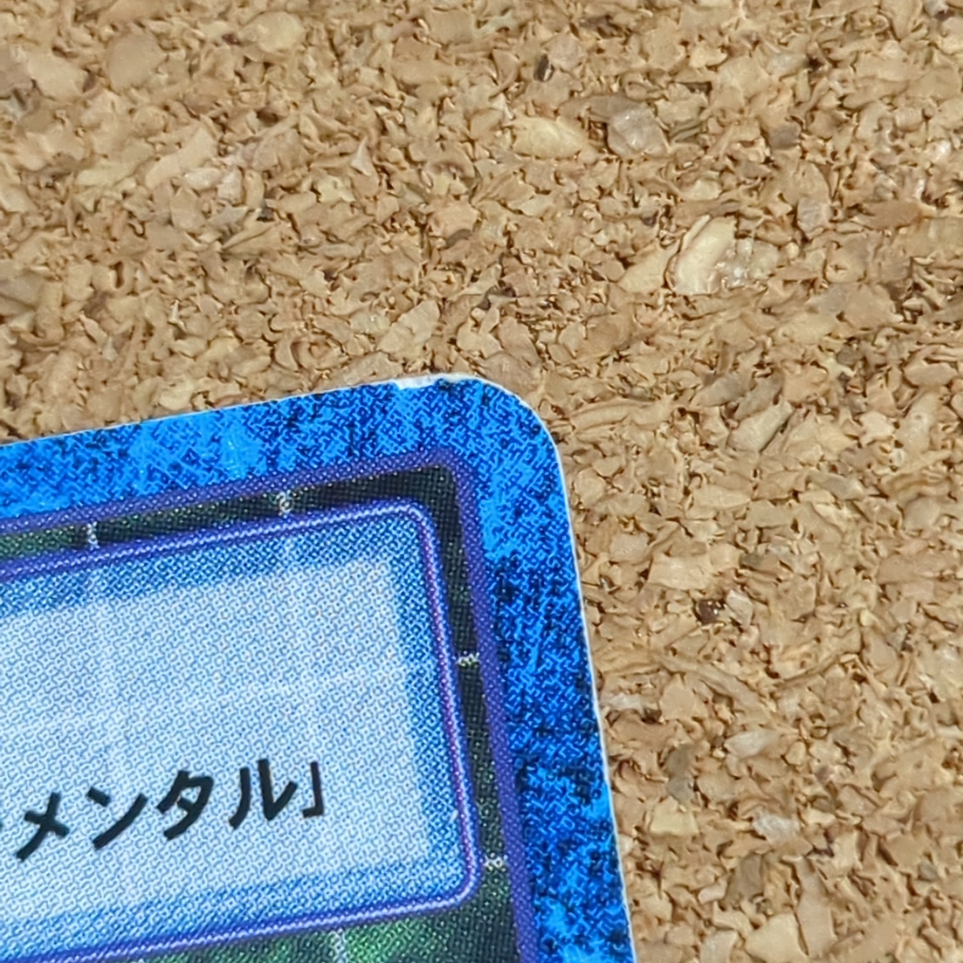 旧デジタルモンスターカード【Bo-289 ブルモン 2000】 - 画像 (6)