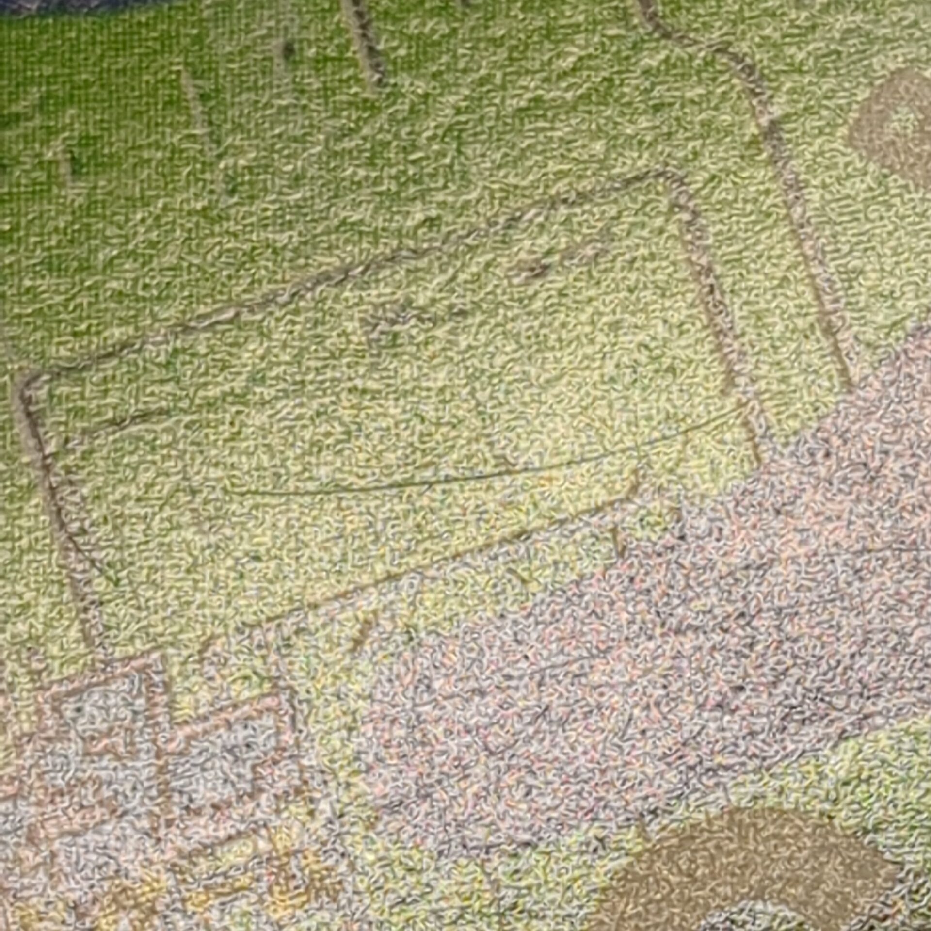 旧デジタルモンスターカード【Bo-351 ナミダの協定破棄 2000】 - 画像 (17)