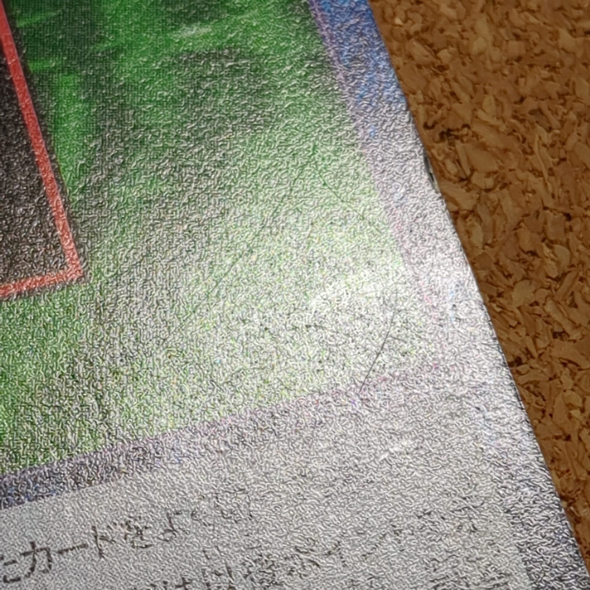 旧デジタルモンスターカード【Bo-347 デジモン墓場 2000】 - 画像 (8)