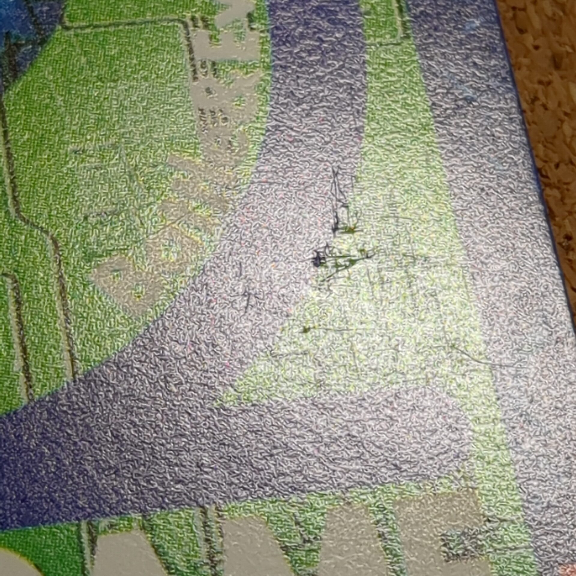 旧デジタルモンスターカード【Bo-347 デジモン墓場 2000】 - 画像 (17)
