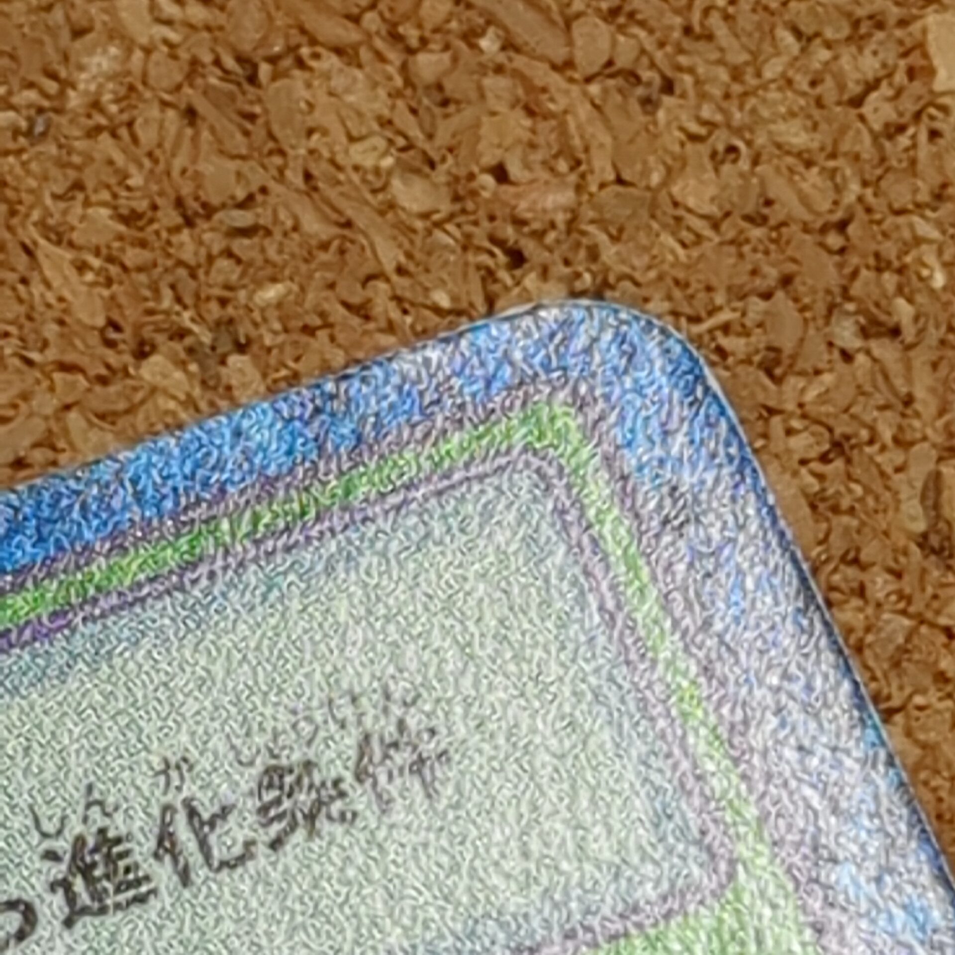 旧デジタルモンスターカード【Bo-344 優しさのデジメンタル 2000】 - 画像 (8)