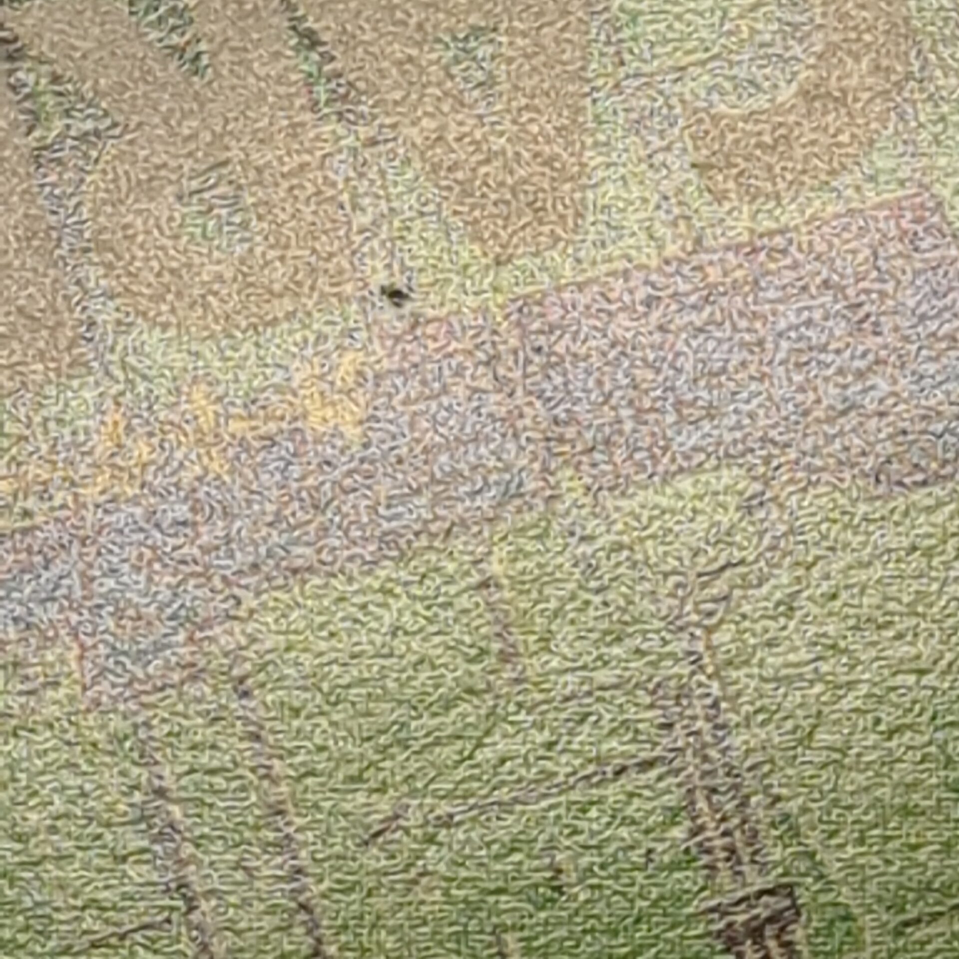 旧デジタルモンスターカード【Bo-327 スワンモン 2000】 - 画像 (17)