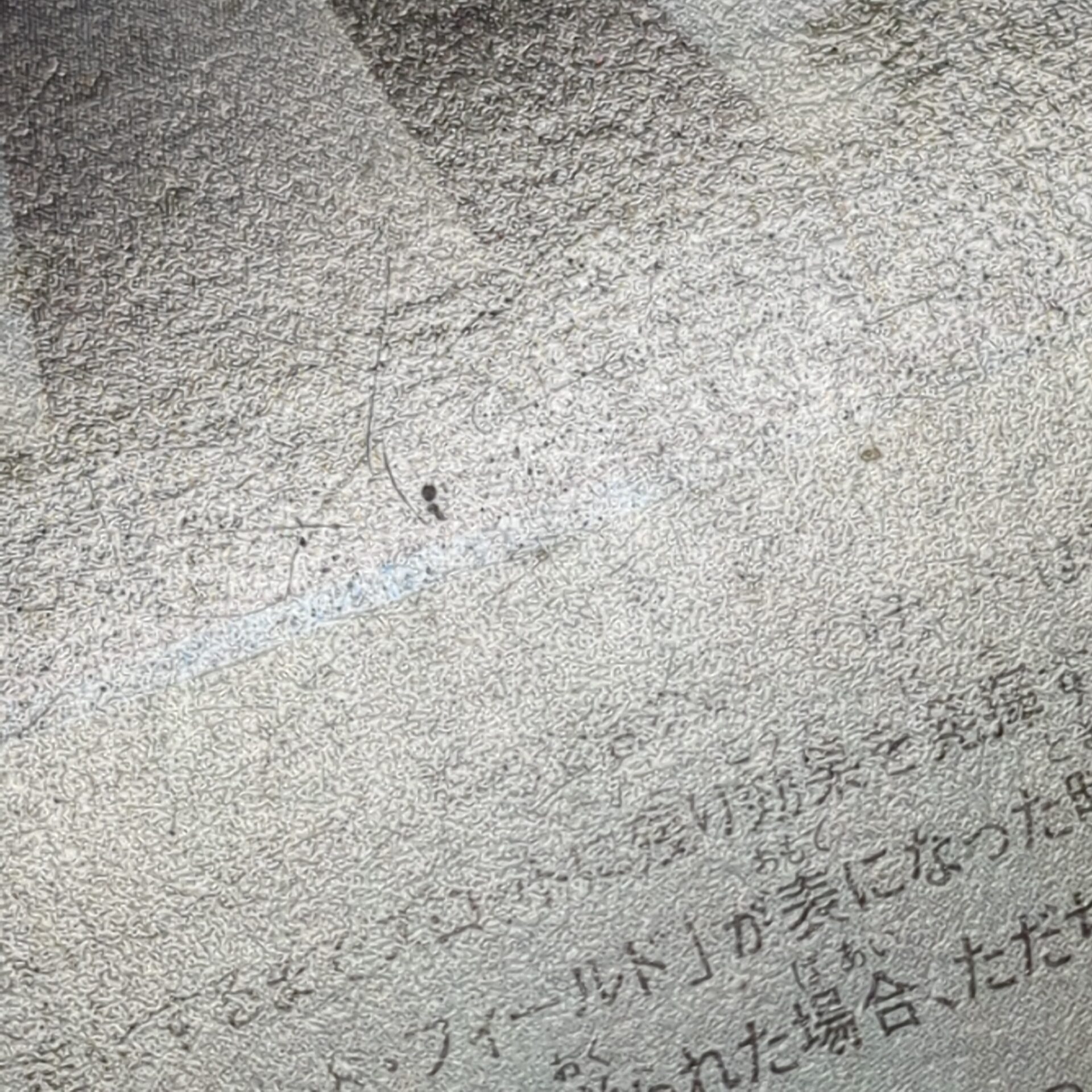 旧デジタルモンスターカード【Bo-355 ダークタワー 2000】 - 画像 (10)