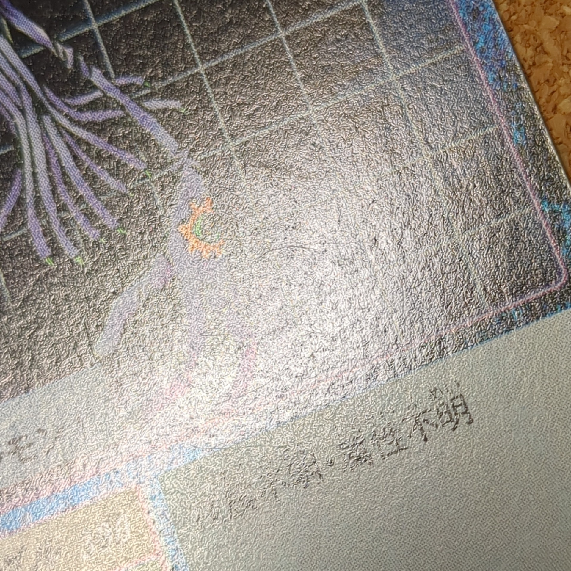 旧デジタルモンスターカード【Bo-172 ケラモン 2000】 - 画像 (8)