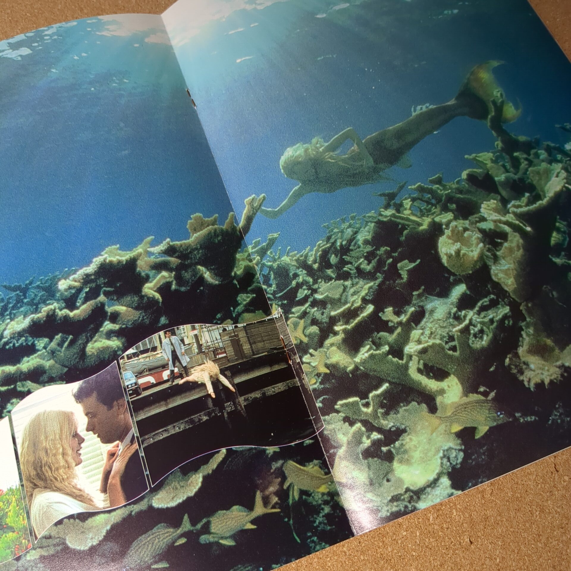 映画 Splash スプラッシュ パンフレット - 画像 (7)