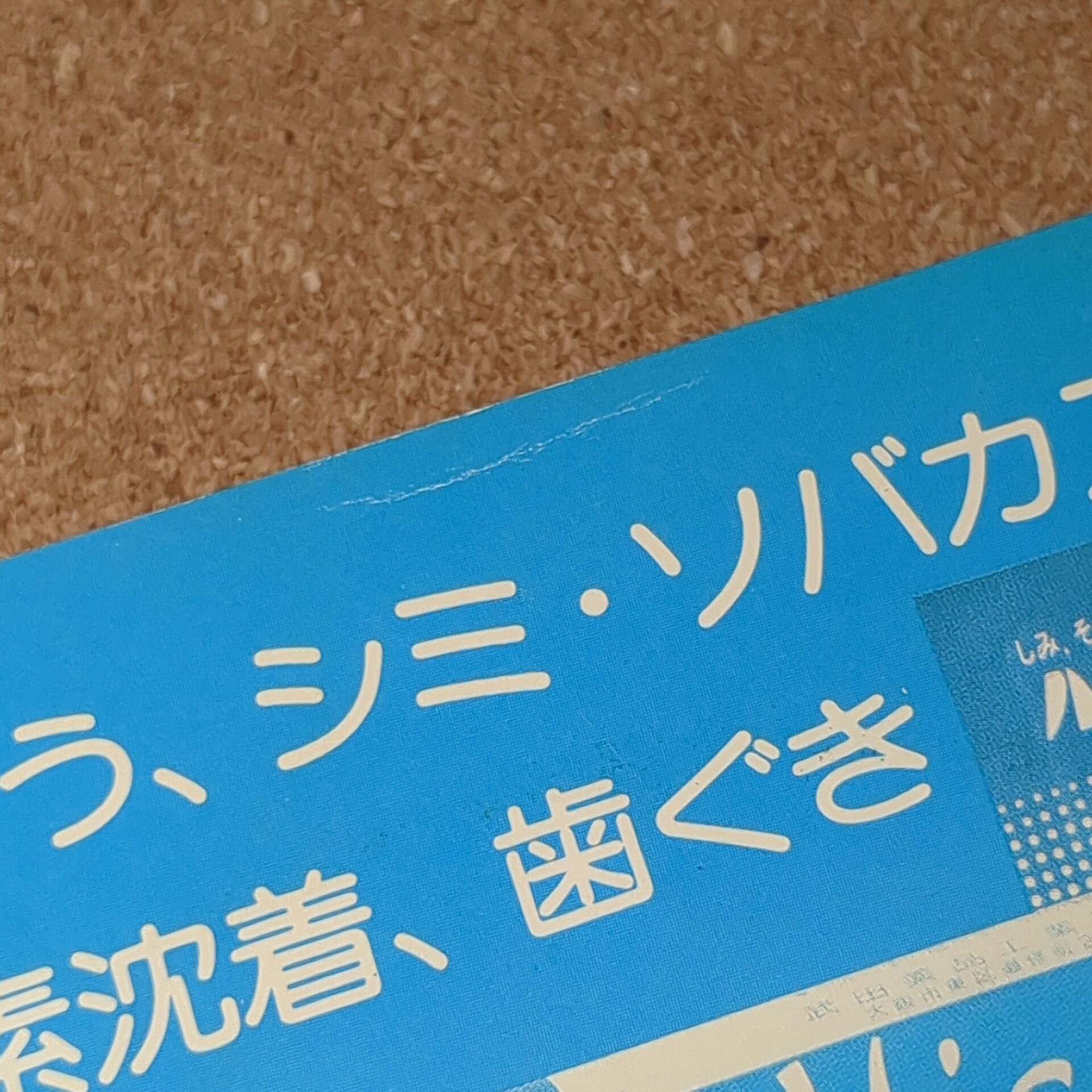 宝塚歌劇団 雪組公演 ベルサイユのばら 雑誌 - 画像 (9)