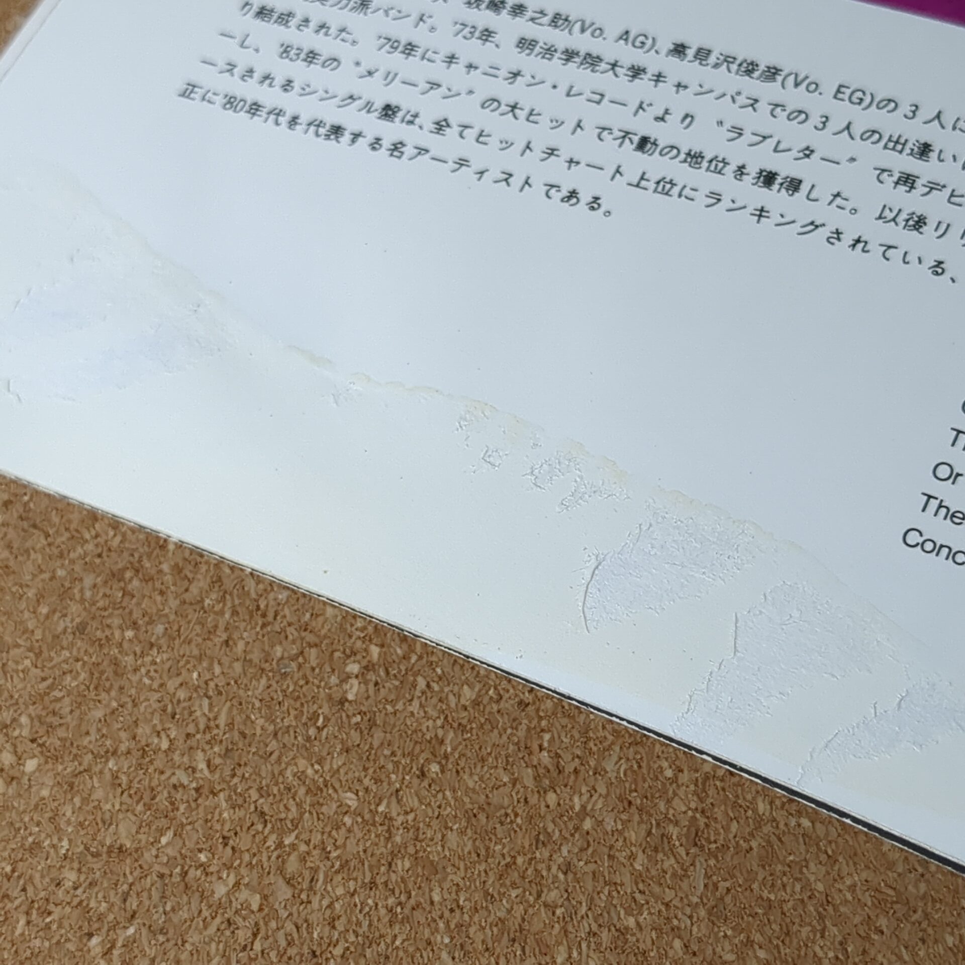 映画 孔雀王 劇場用パンフレット - 画像 (11)