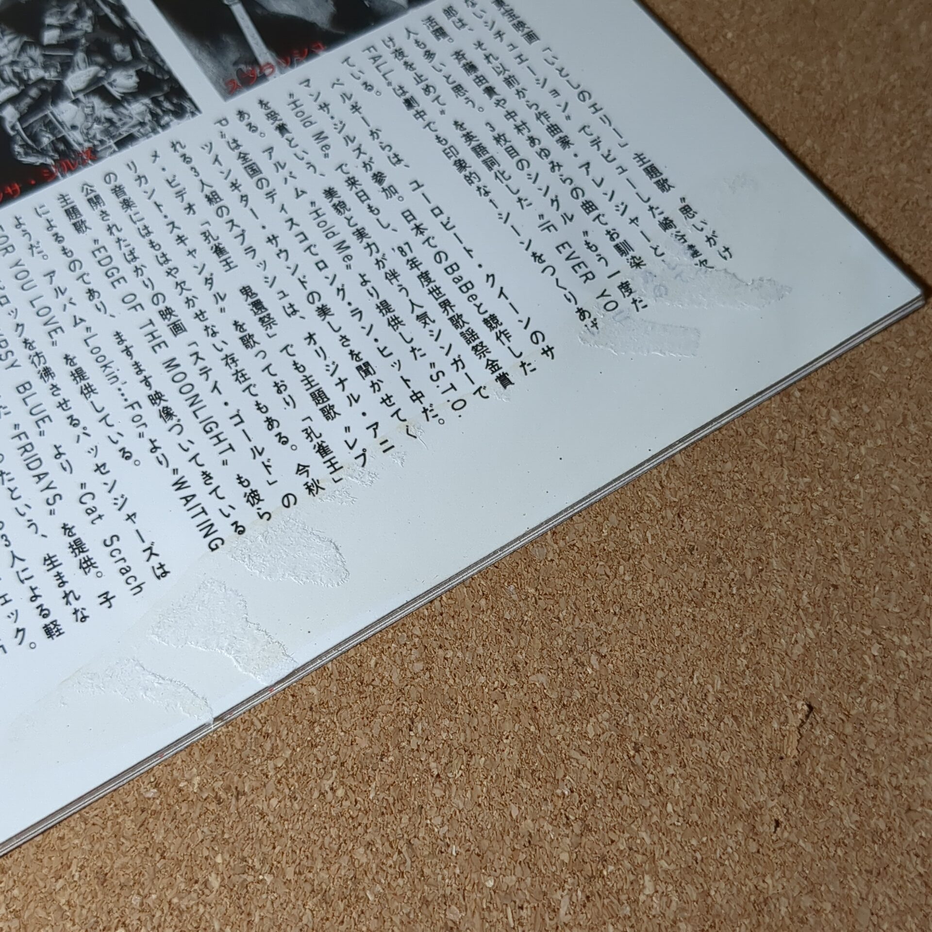 映画 孔雀王 劇場用パンフレット - 画像 (12)