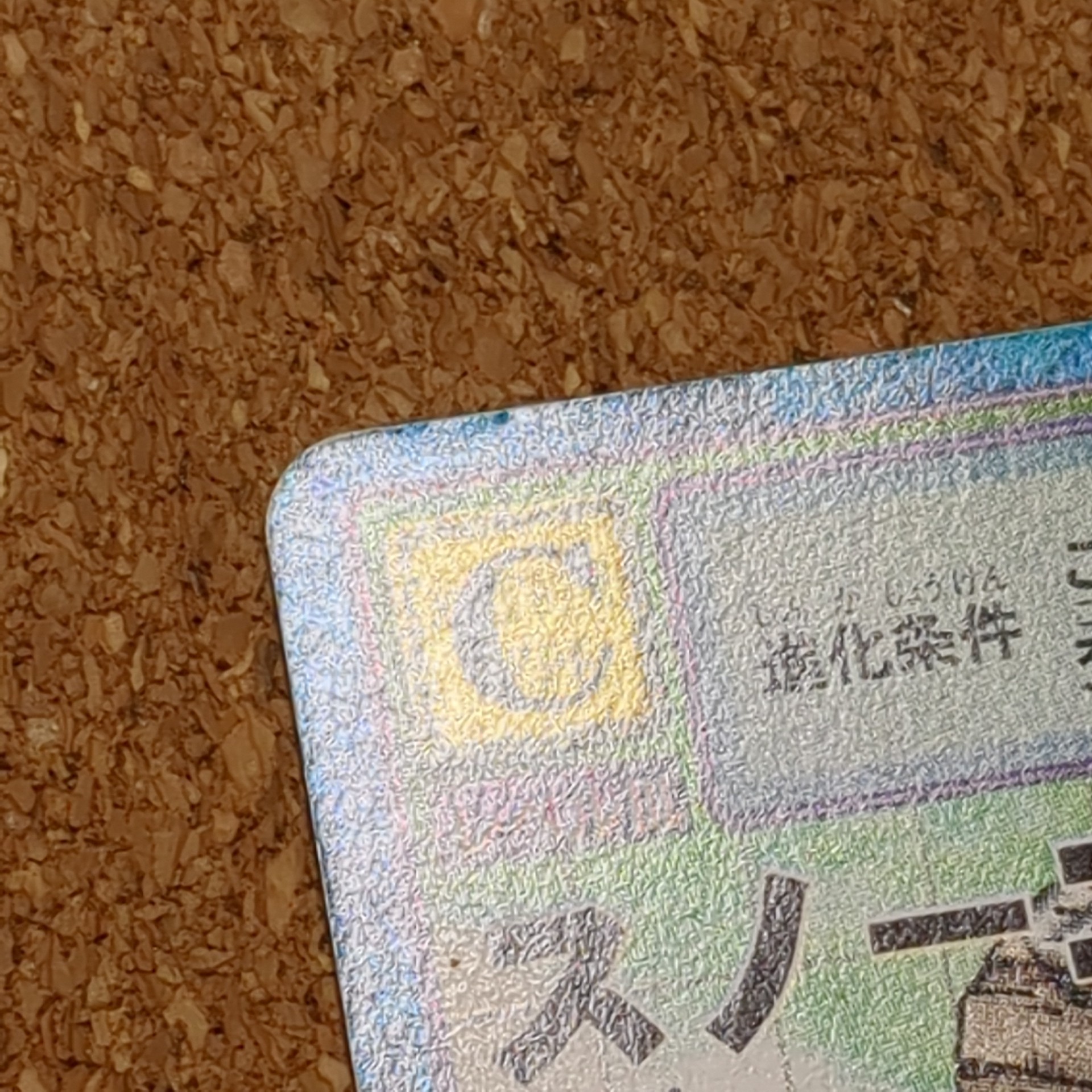 旧デジタルモンスターカード【Bo-171 スノーゴブリモン 2000】 - 画像 (7)